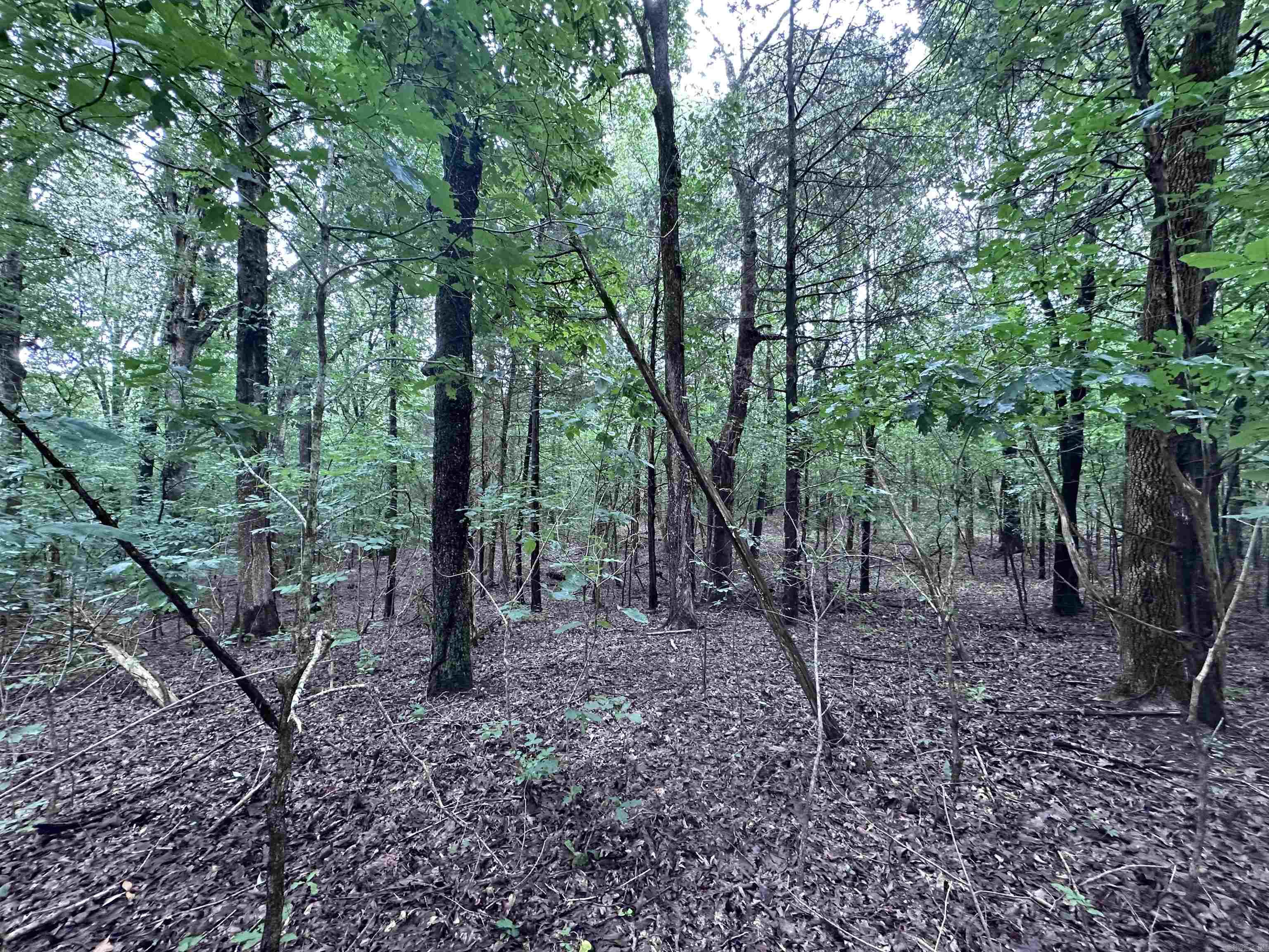 1 Clay 472/461  Piggott, AR