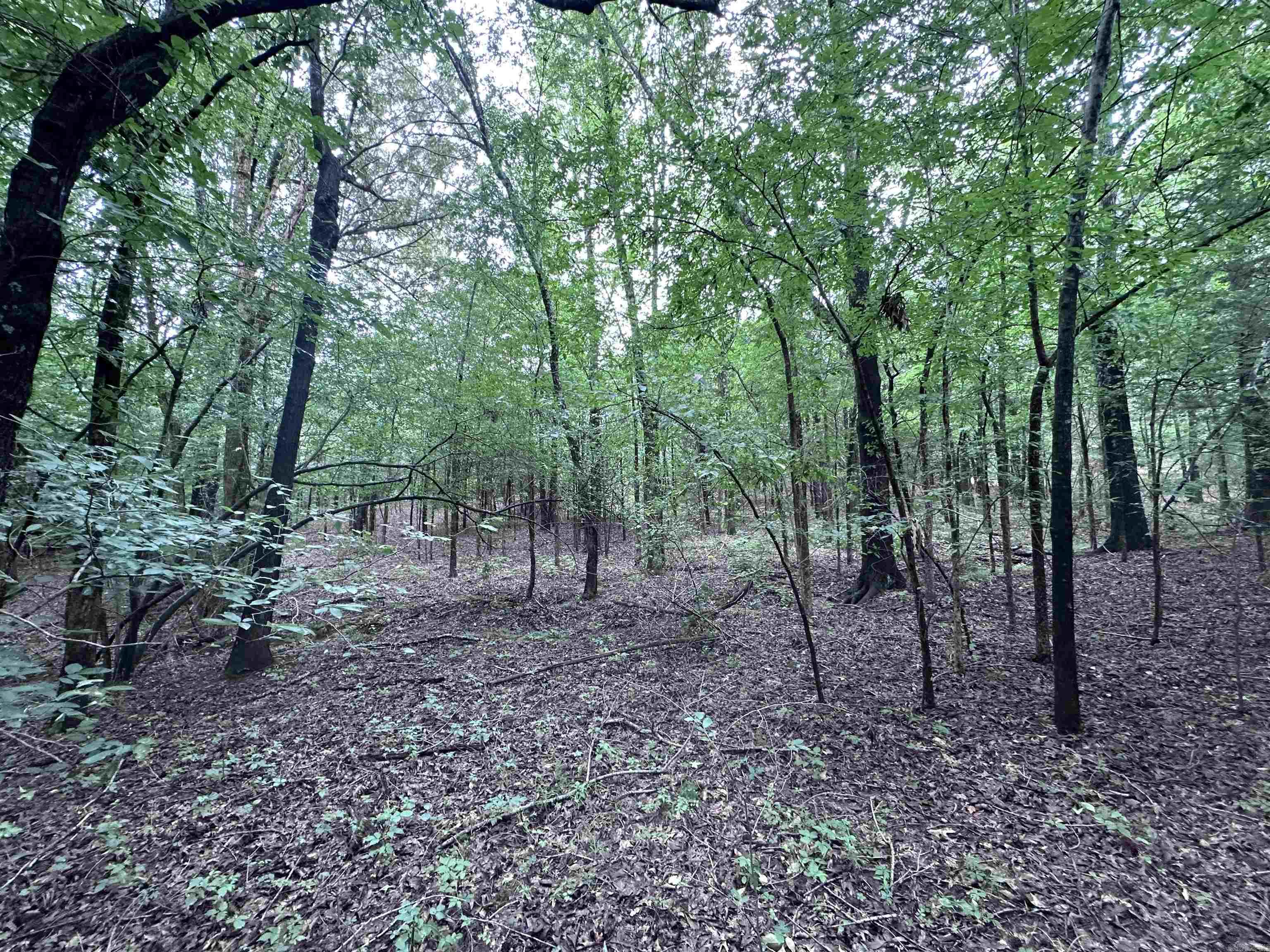 1 Clay 472/461  Piggott, AR