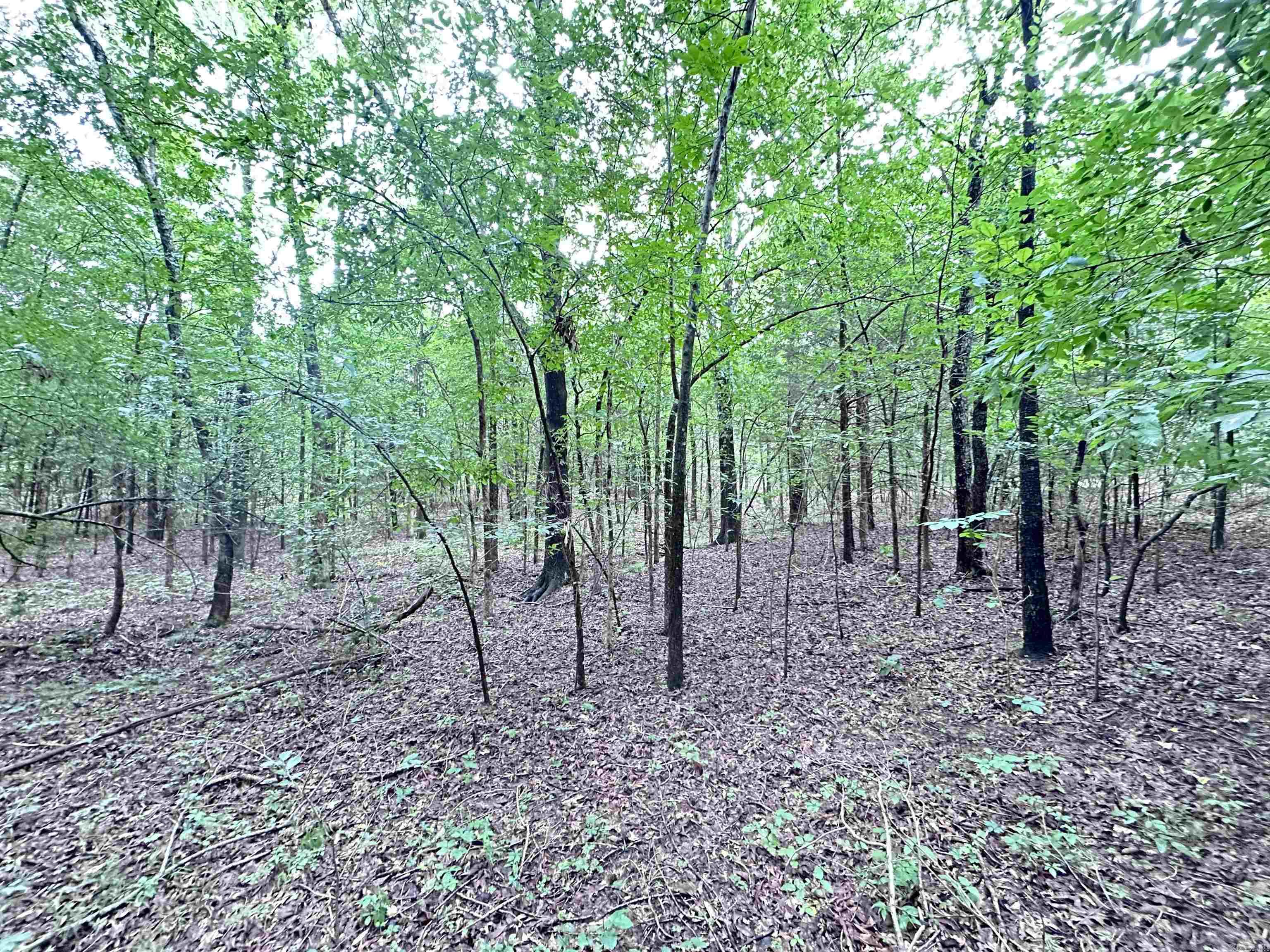 1 Clay 472/461  Piggott, AR