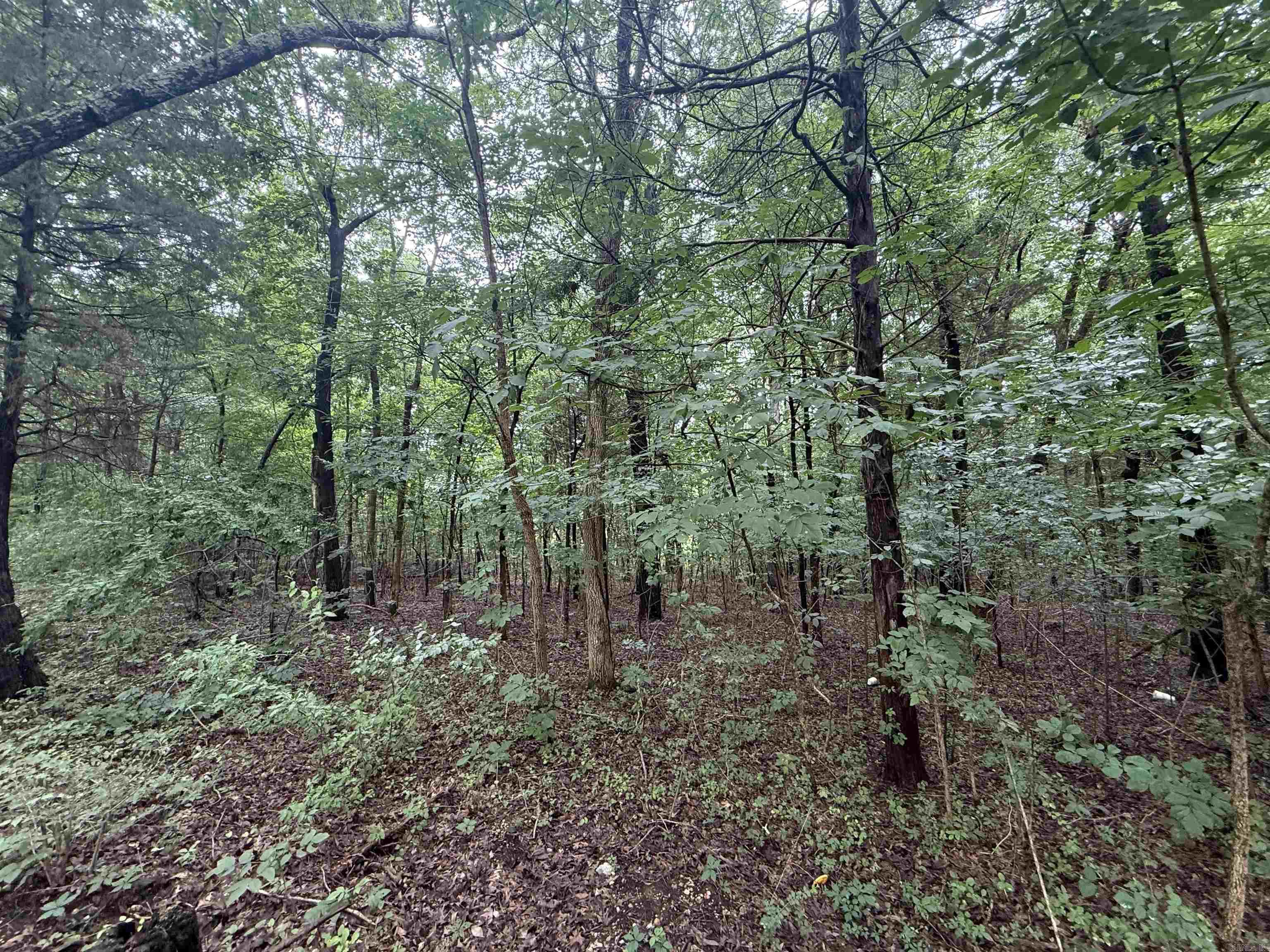 1 Clay 472/461  Piggott, AR