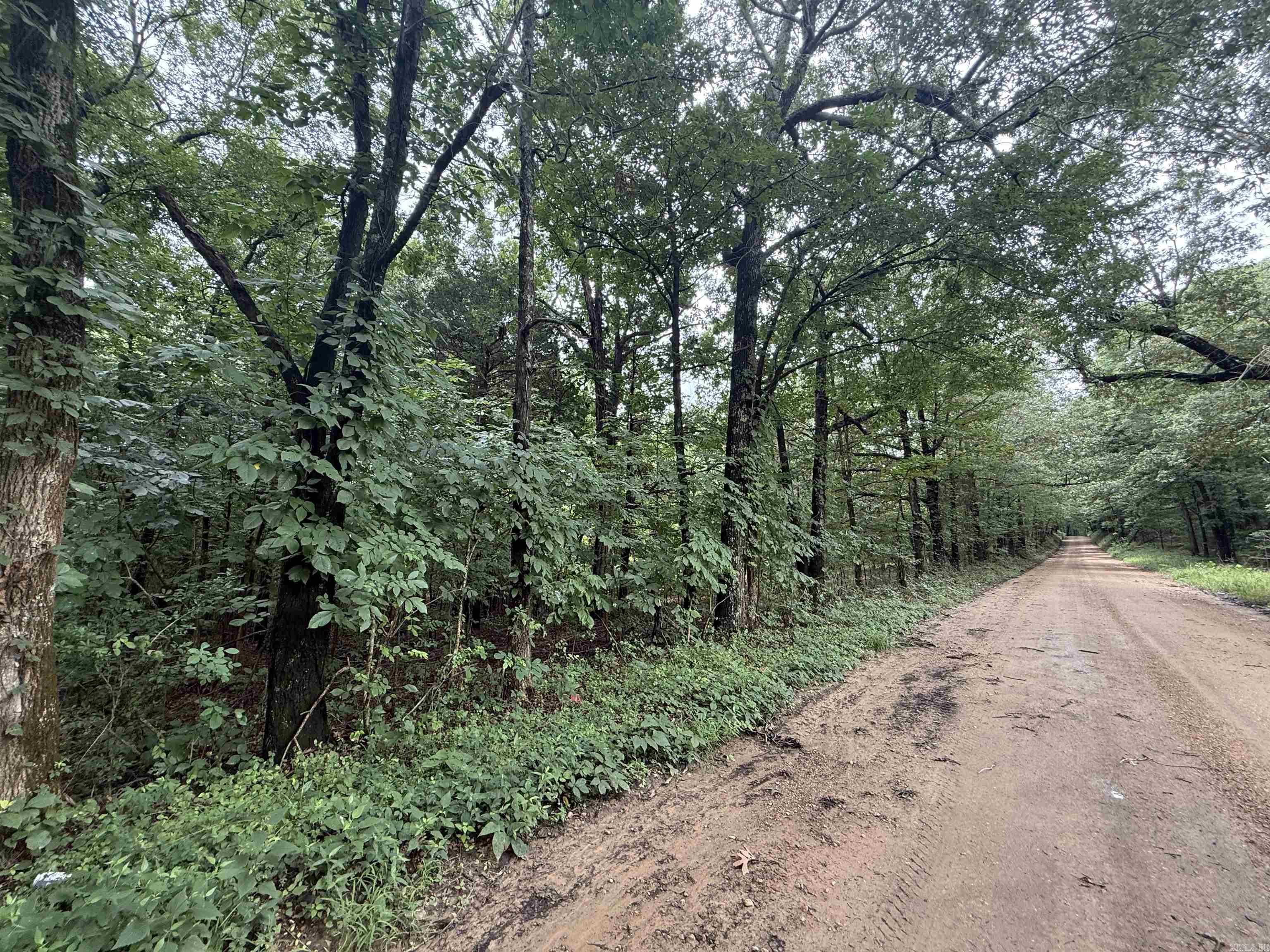 1 Clay 472/461  Piggott, AR