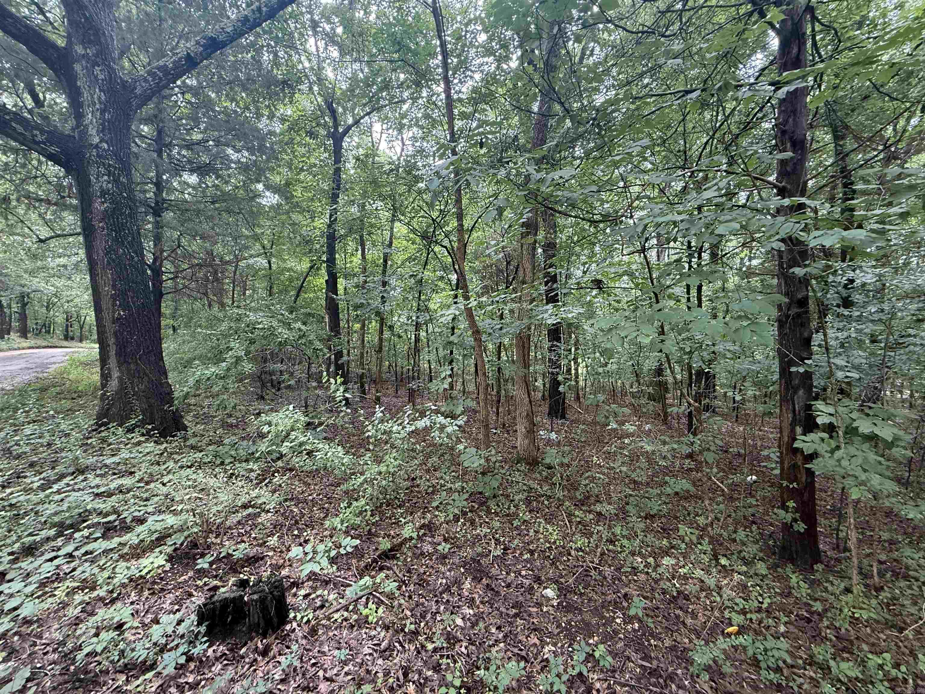 1 Clay 472/461  Piggott, AR
