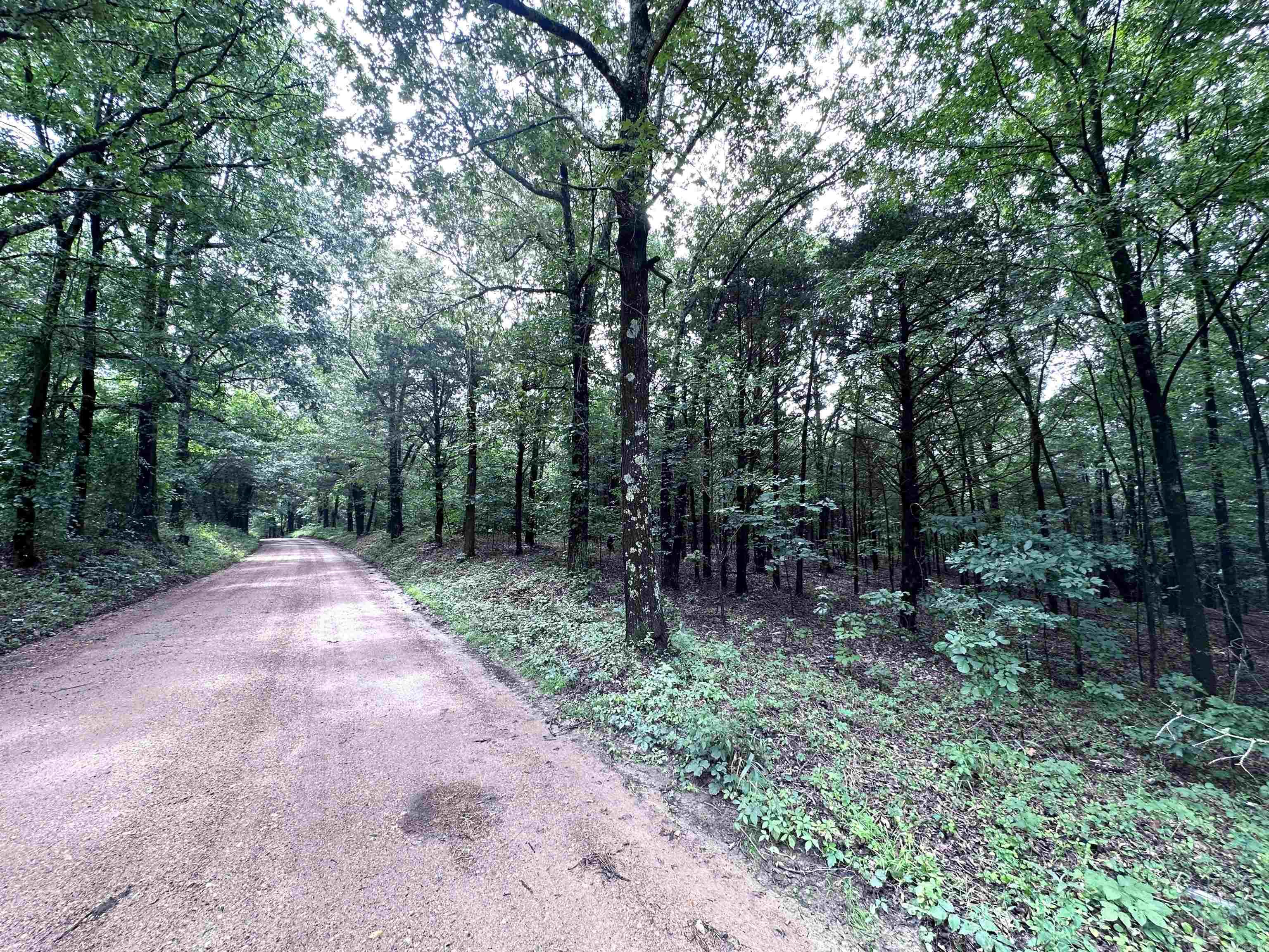 1 Clay 472/461  Piggott, AR