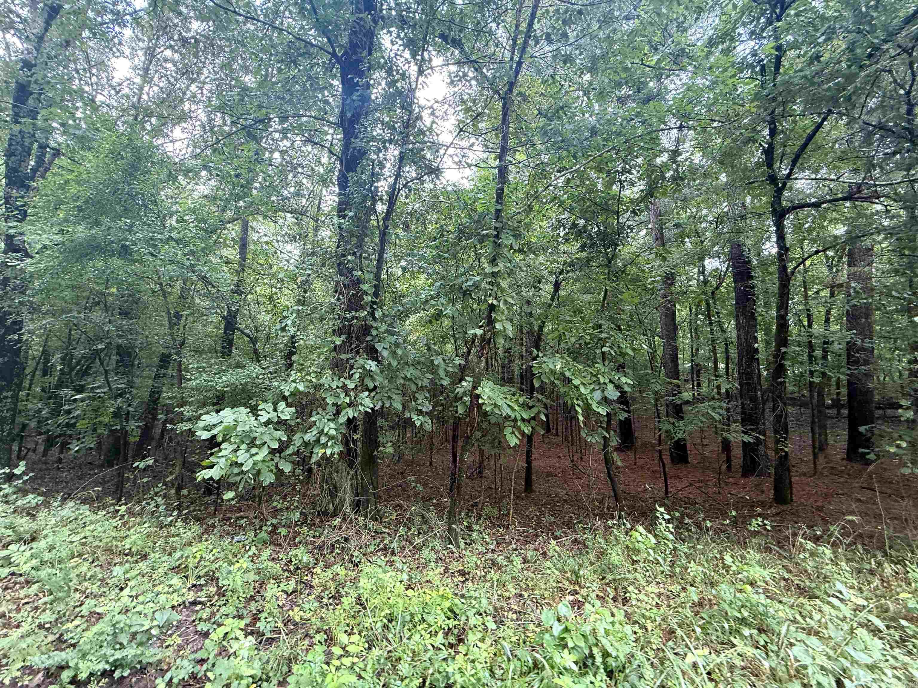 1 Clay 472/461  Piggott, AR