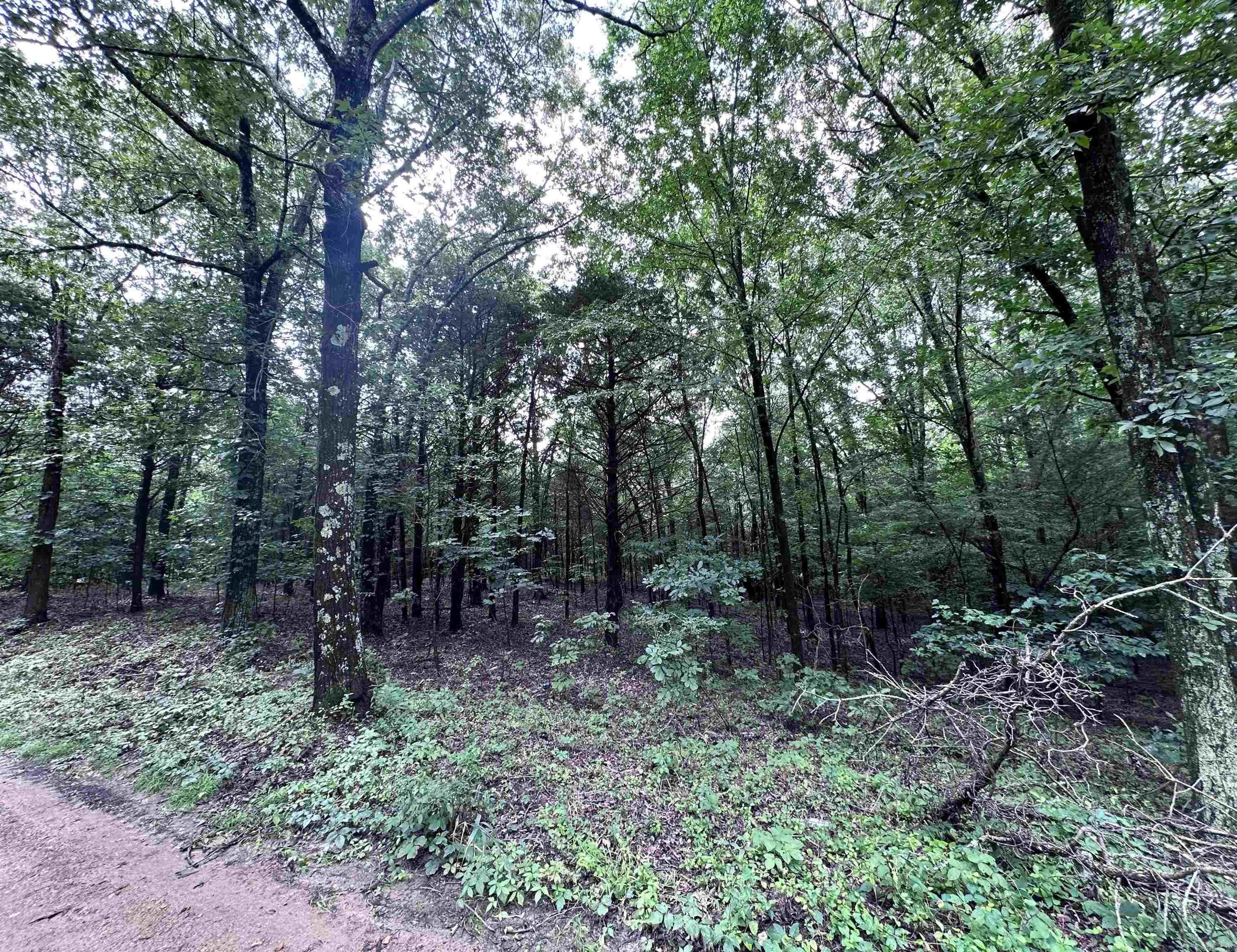 1 Clay 472/461  Piggott, AR