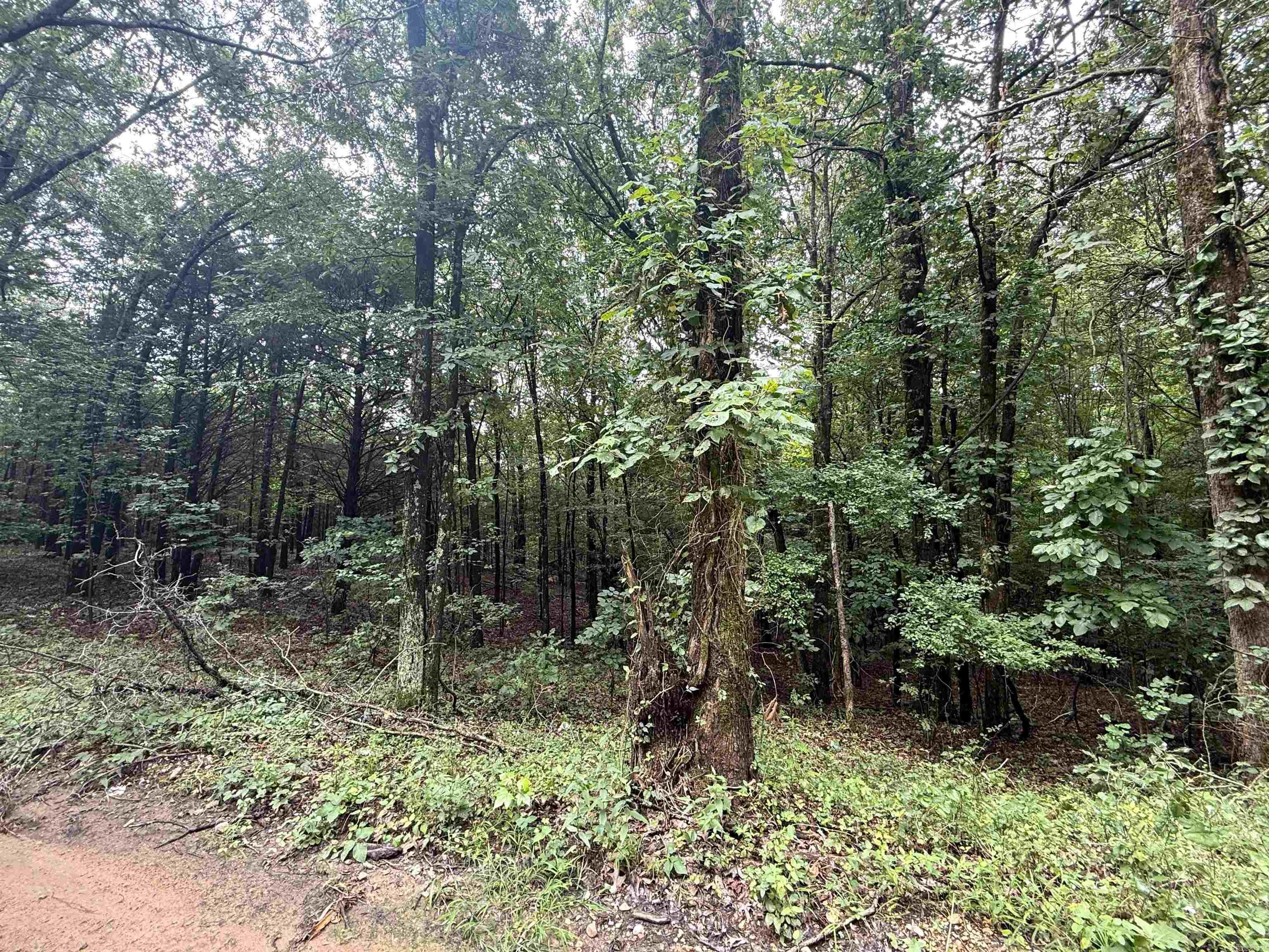 1 Clay 472/461  Piggott, AR