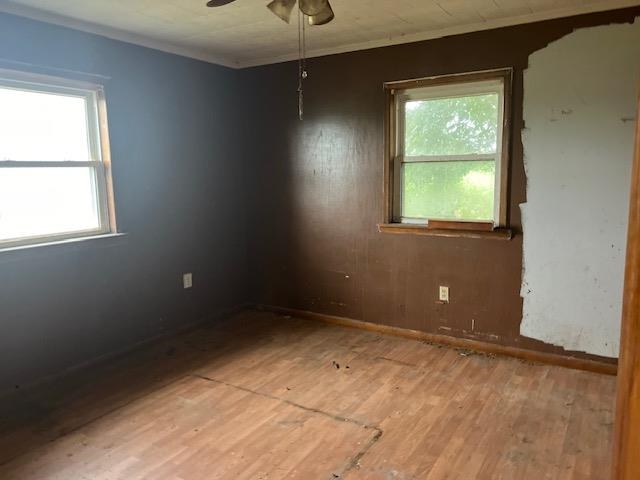 7762 CR 928  Lake City, AR