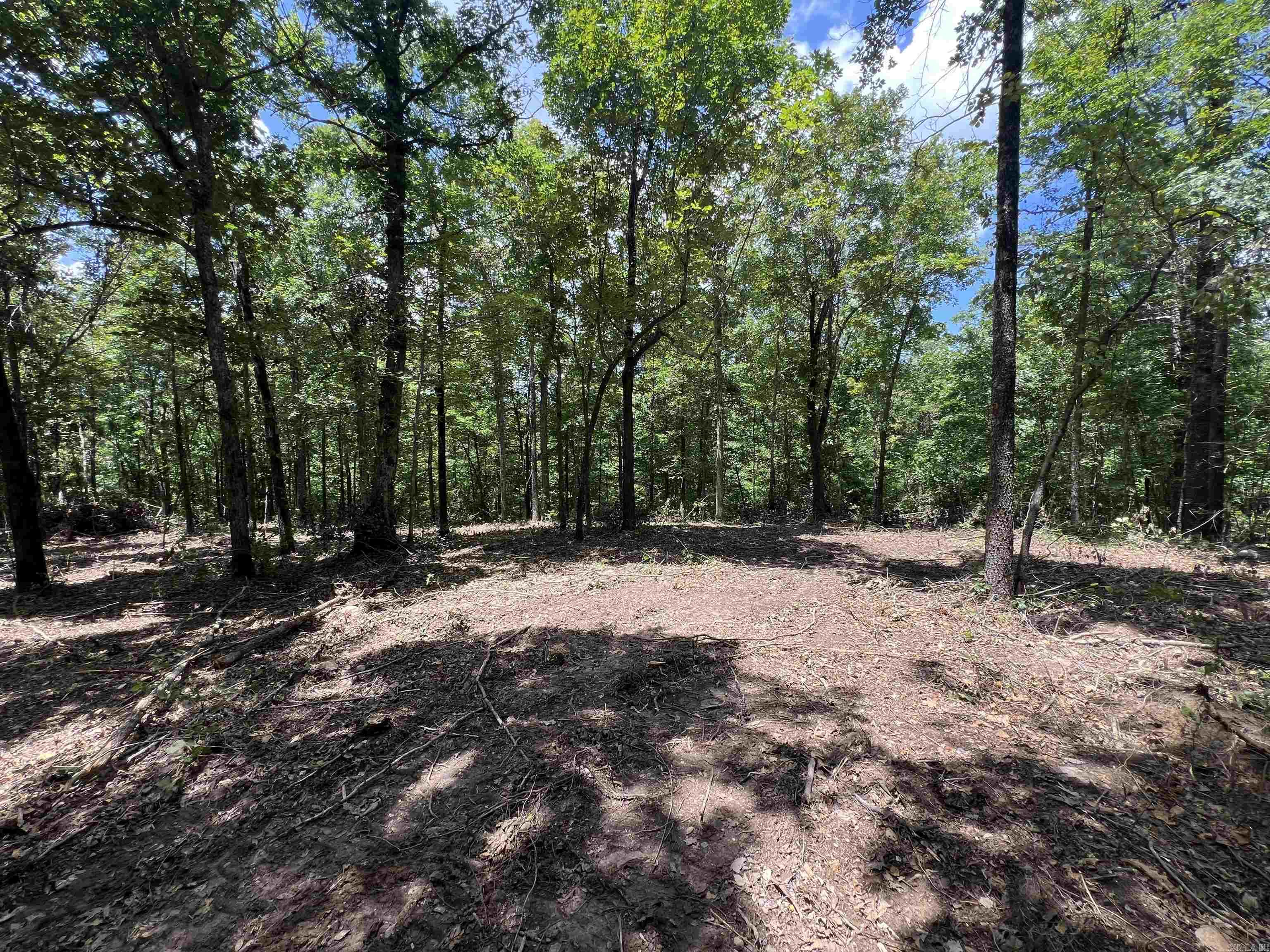 704 Old Highway 66  Leslie, AR