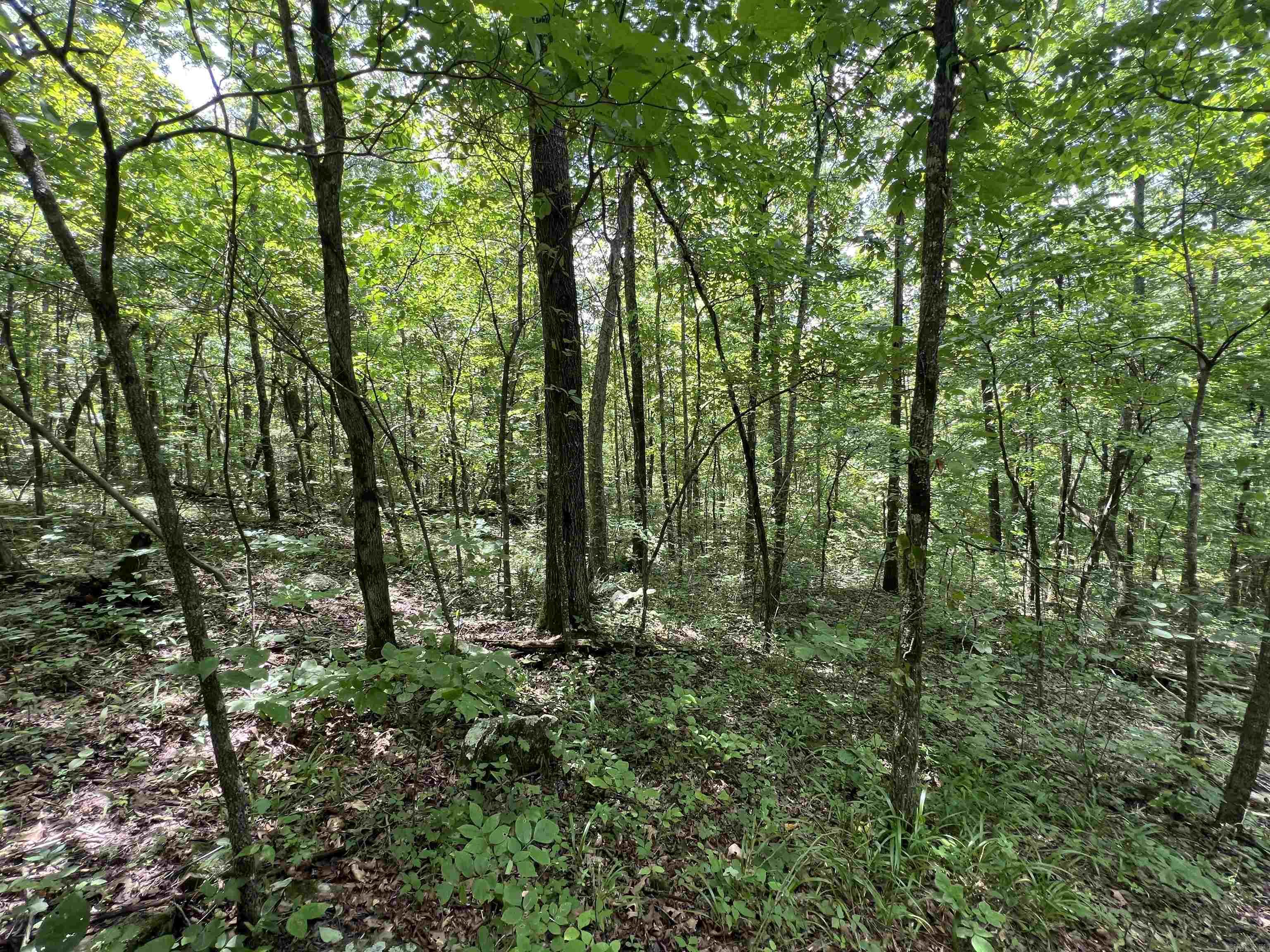 704 Old Highway 66  Leslie, AR