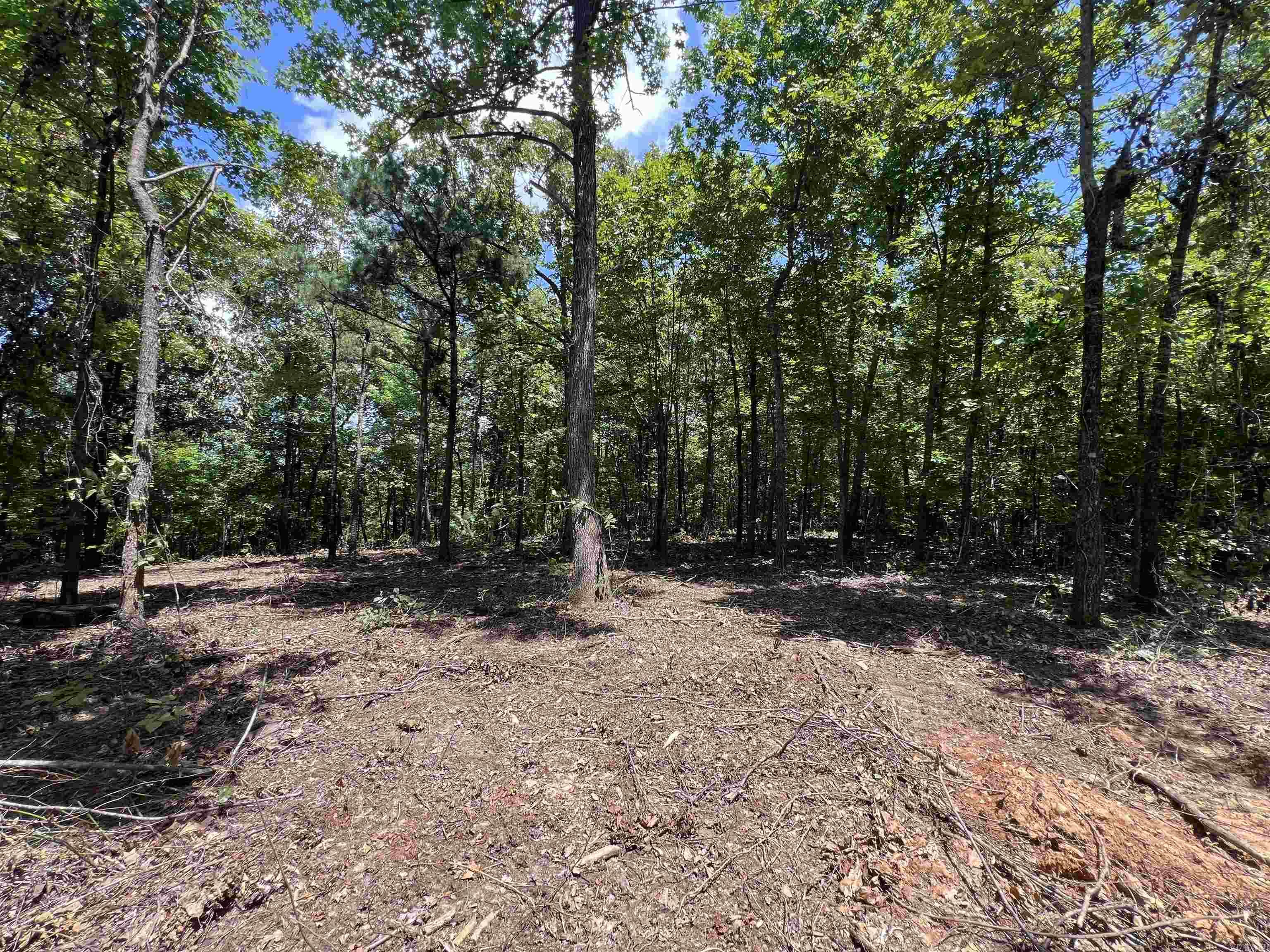 704 Old Highway 66  Leslie, AR