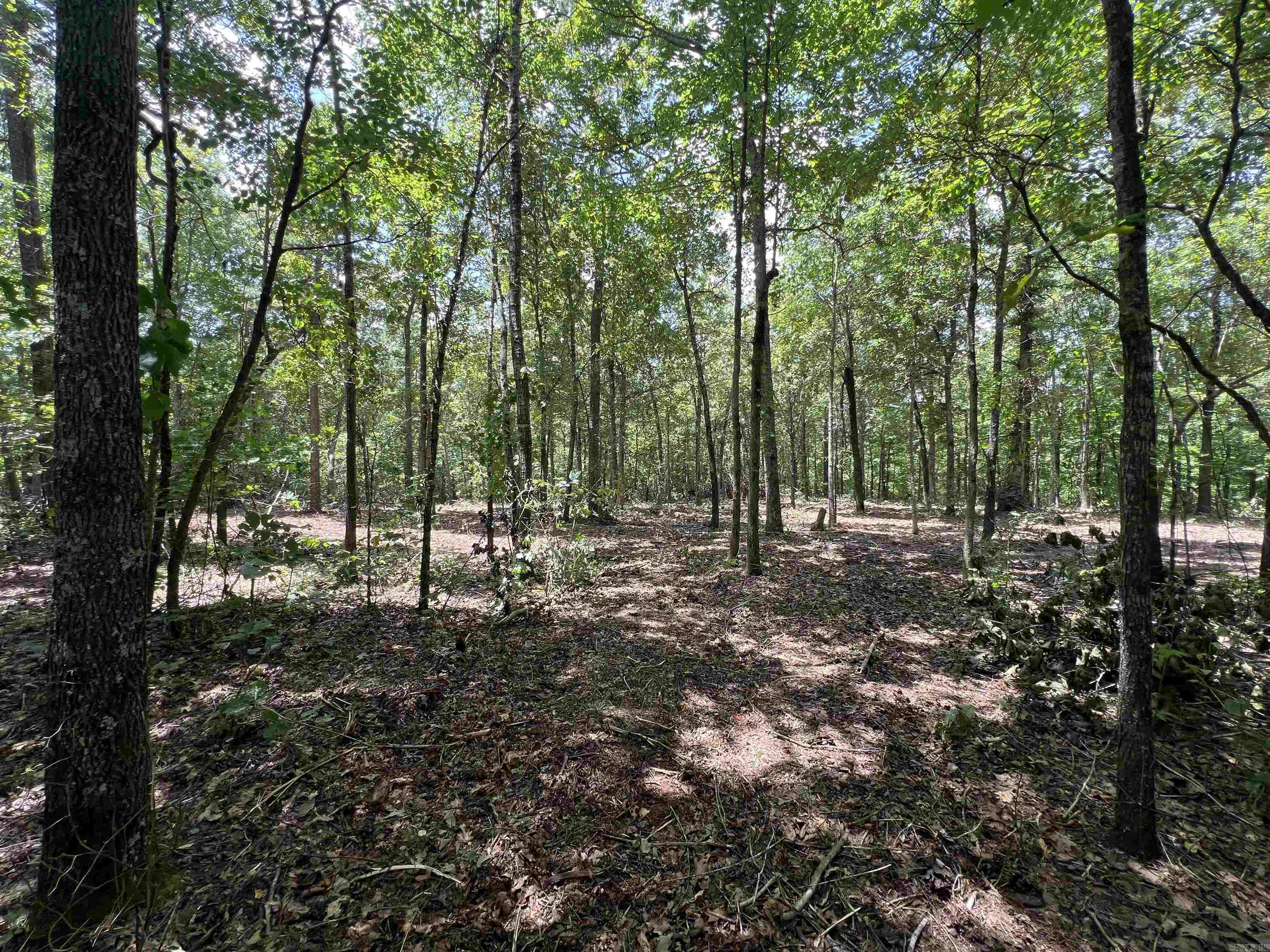 704 Old Highway 66  Leslie, AR