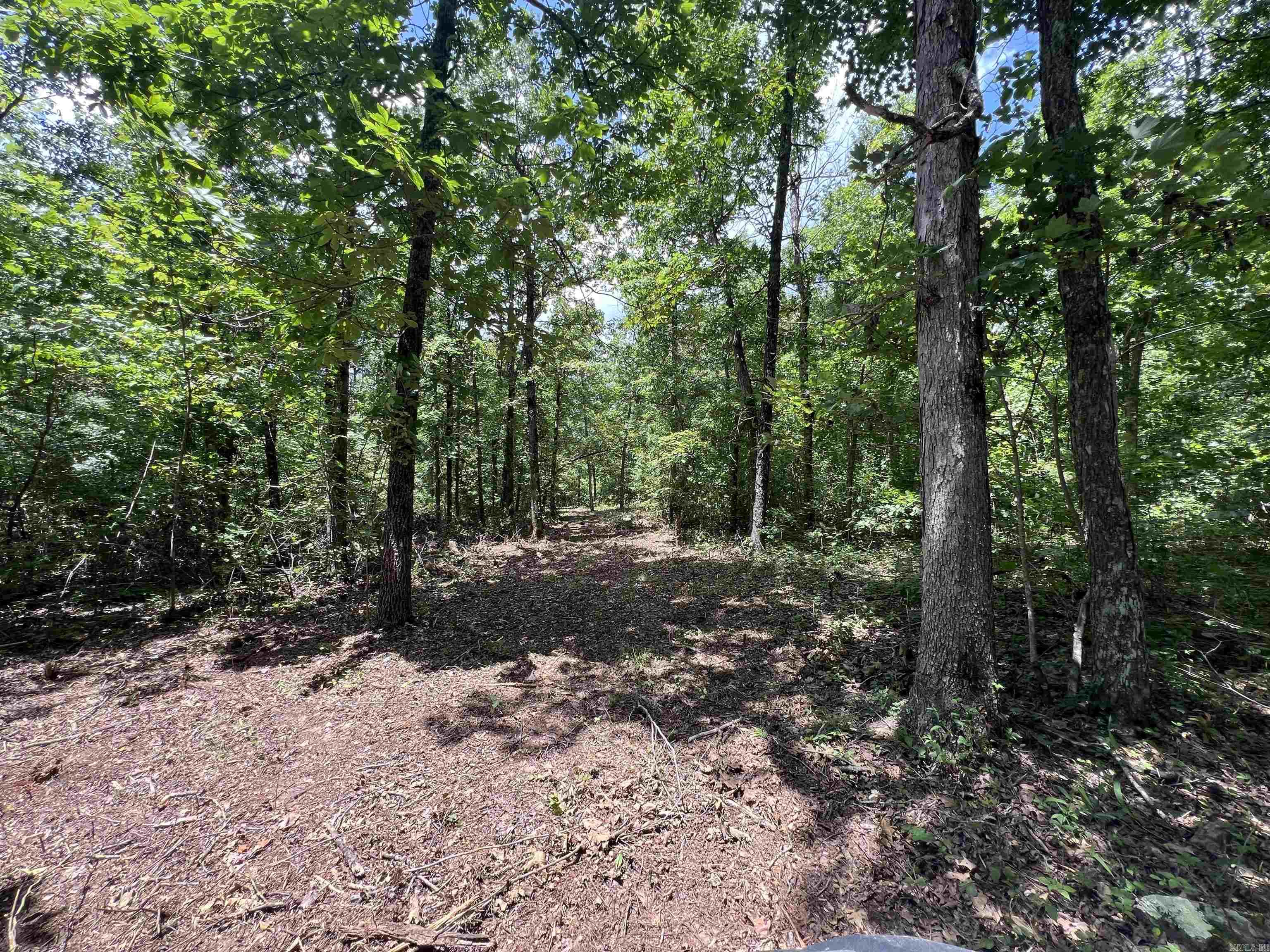 704 Old Highway 66  Leslie, AR
