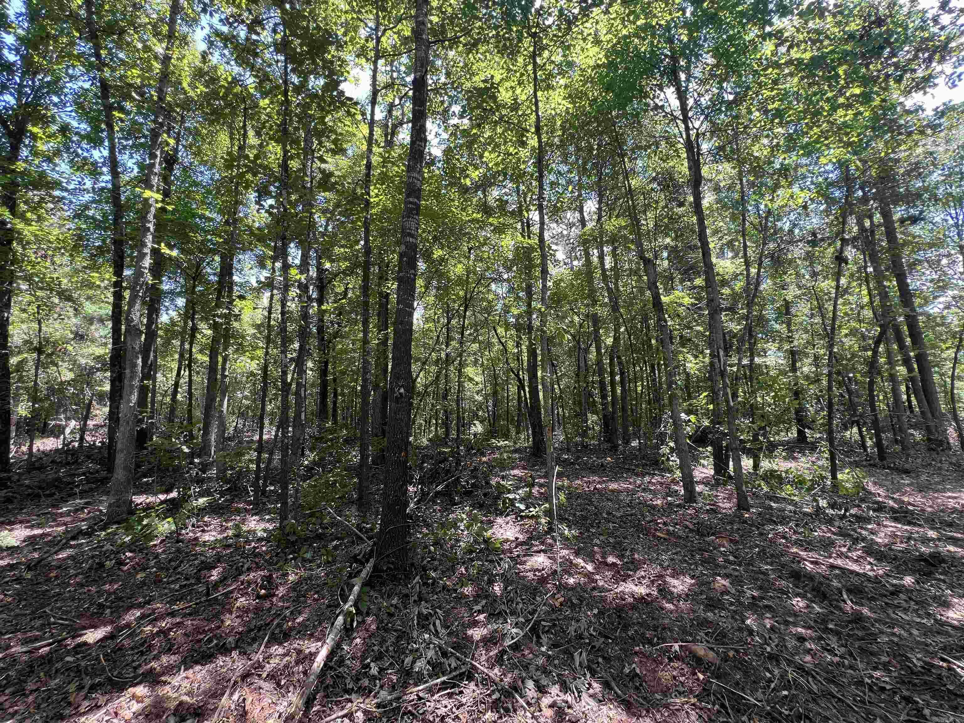 704 Old Highway 66  Leslie, AR
