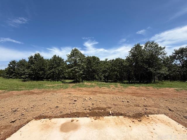 41 Summer Sky Drive  Greenbrier, AR