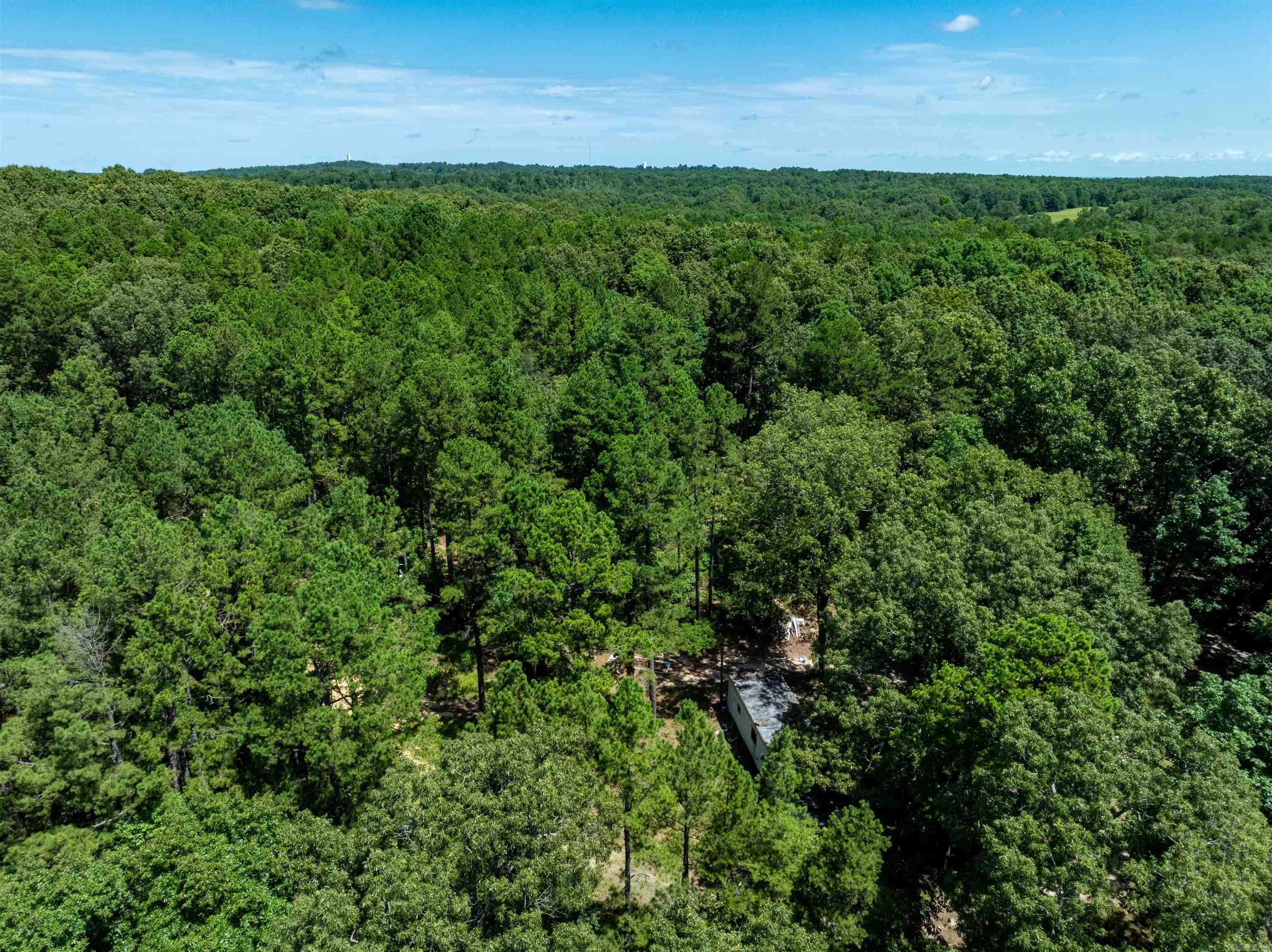 29 Bunch Ln  Cave City, AR