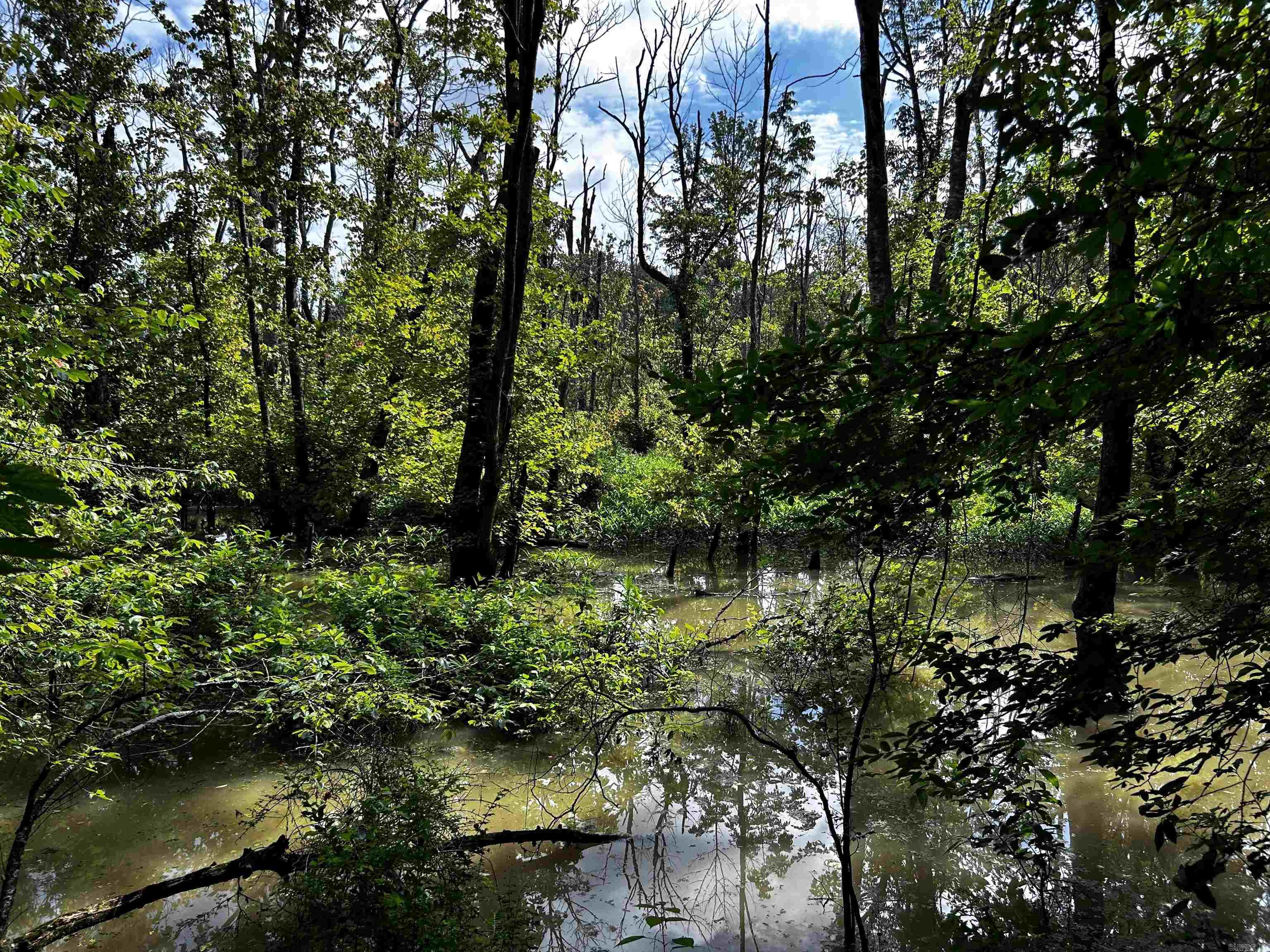  Woodfin Road  Cotton Plant, AR