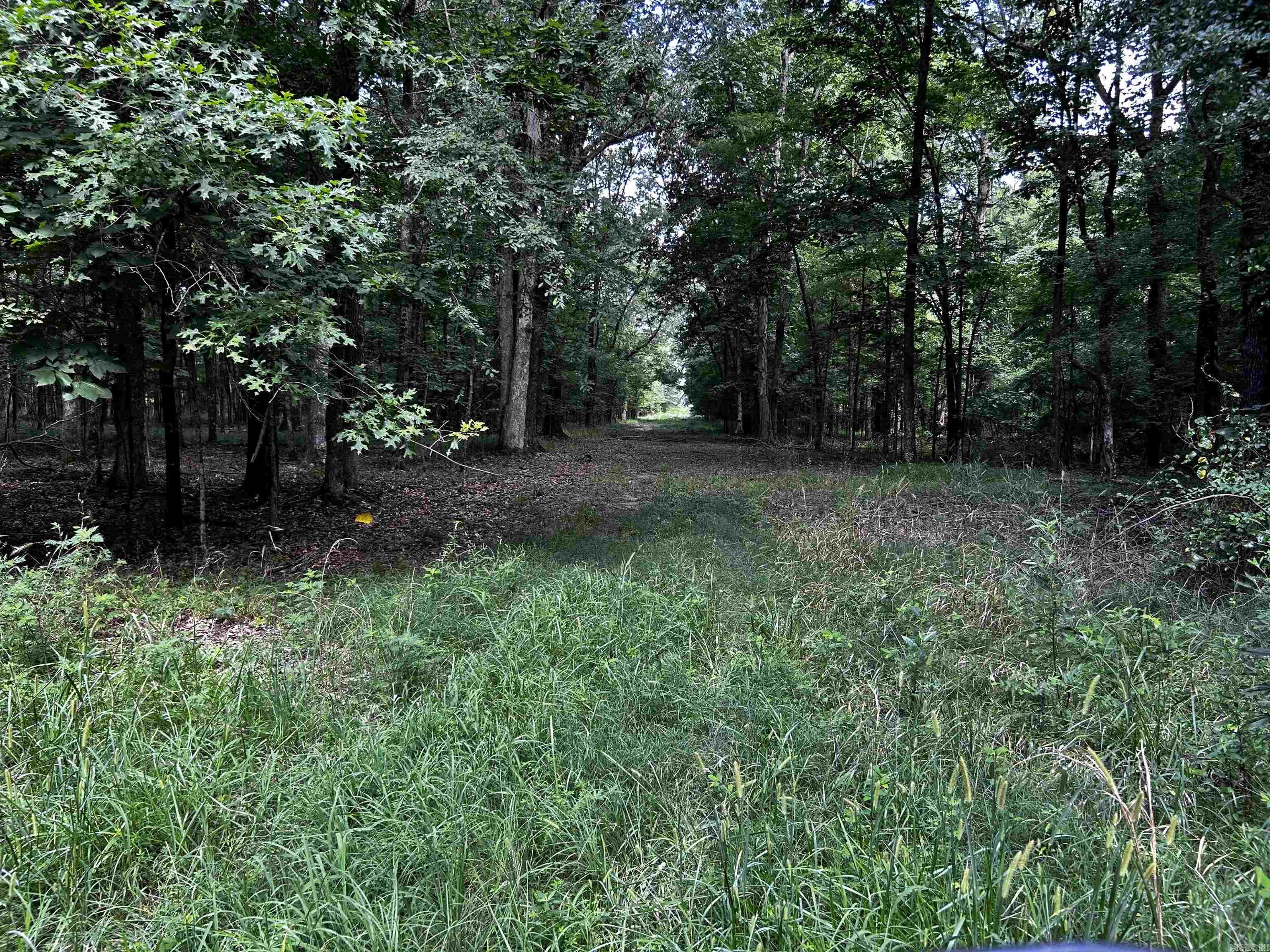  Woodfin Road  Cotton Plant, AR