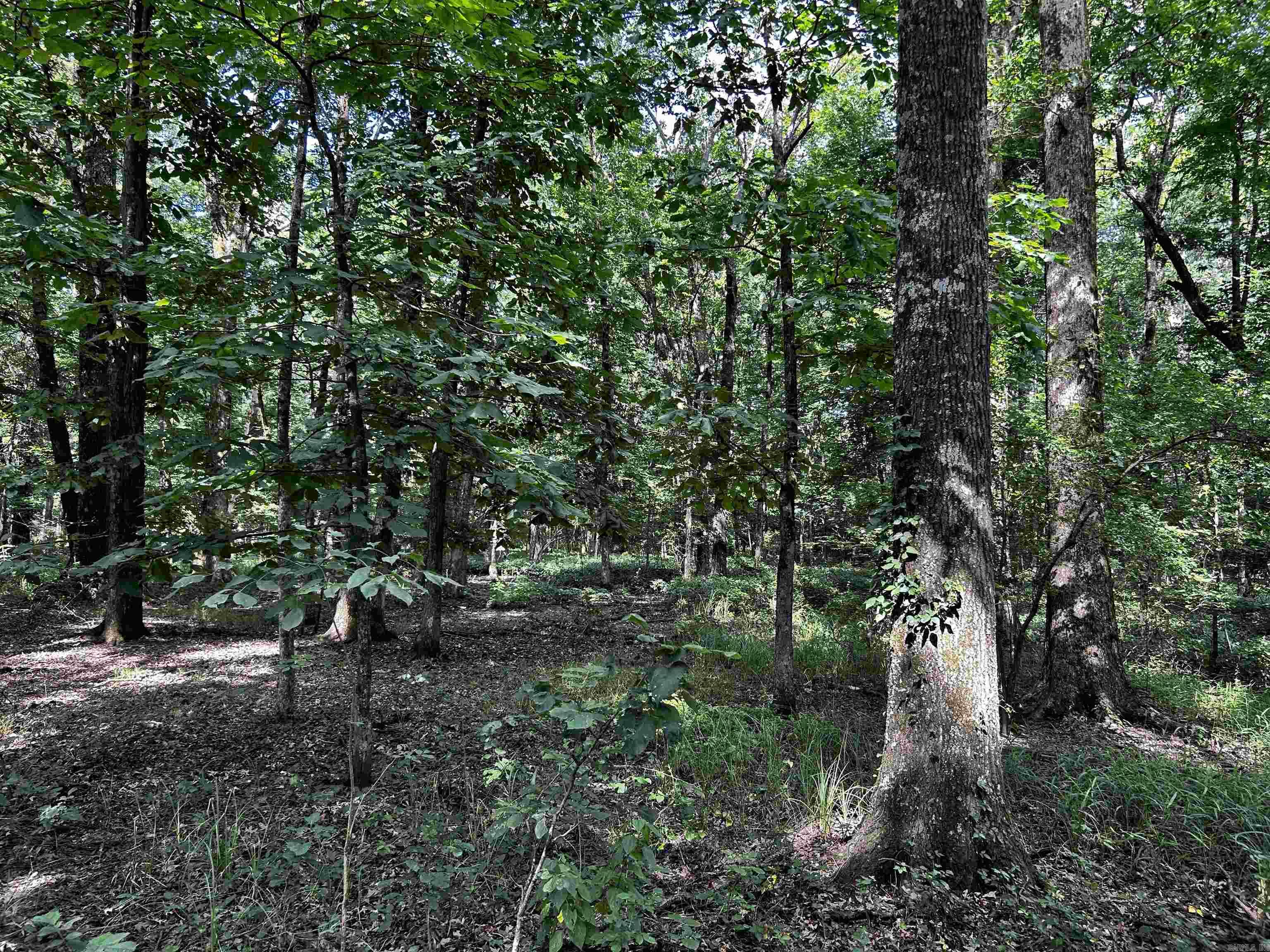  Woodfin Road  Cotton Plant, AR