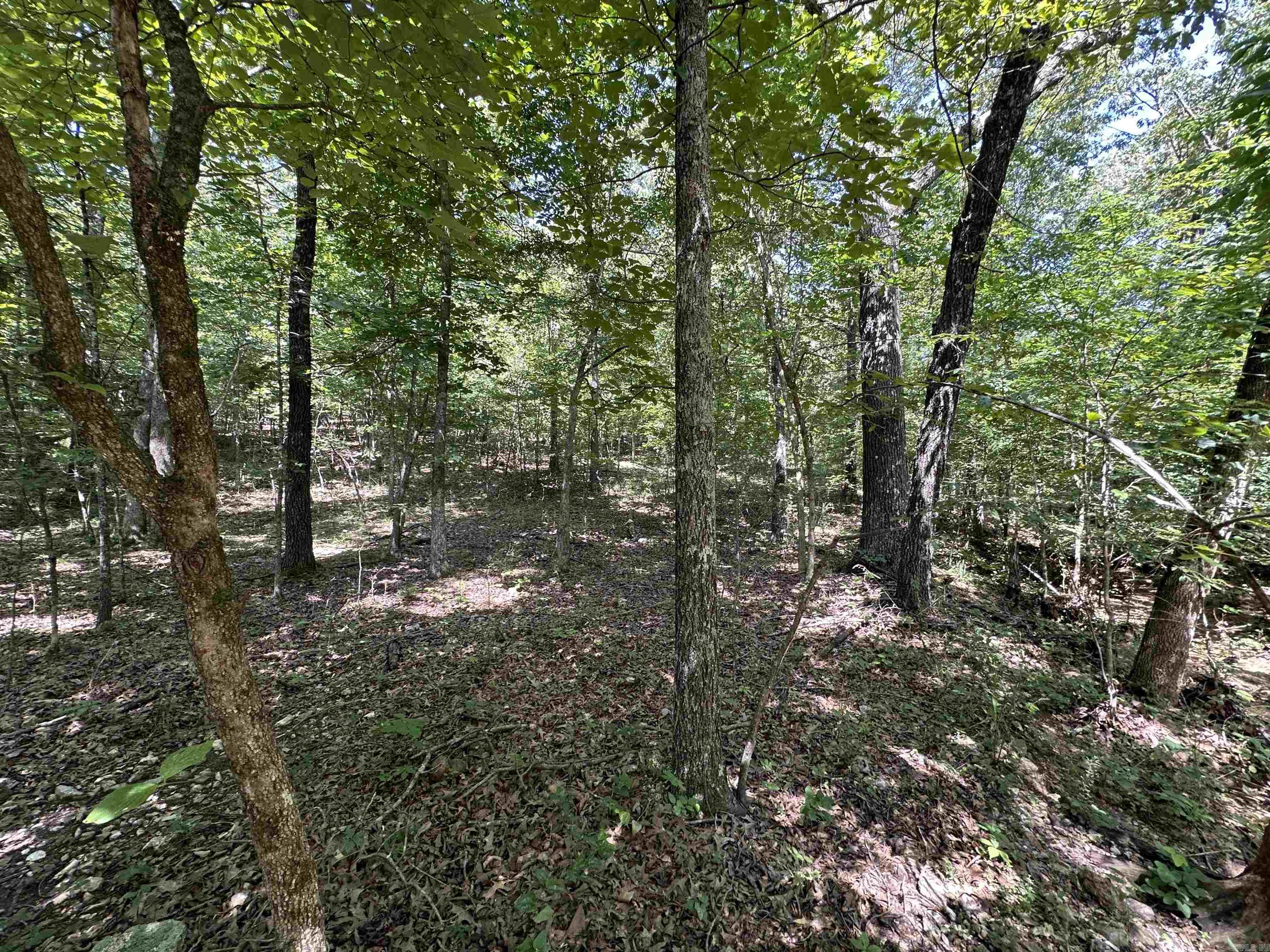  Big Creek Rd  Hardy, AR