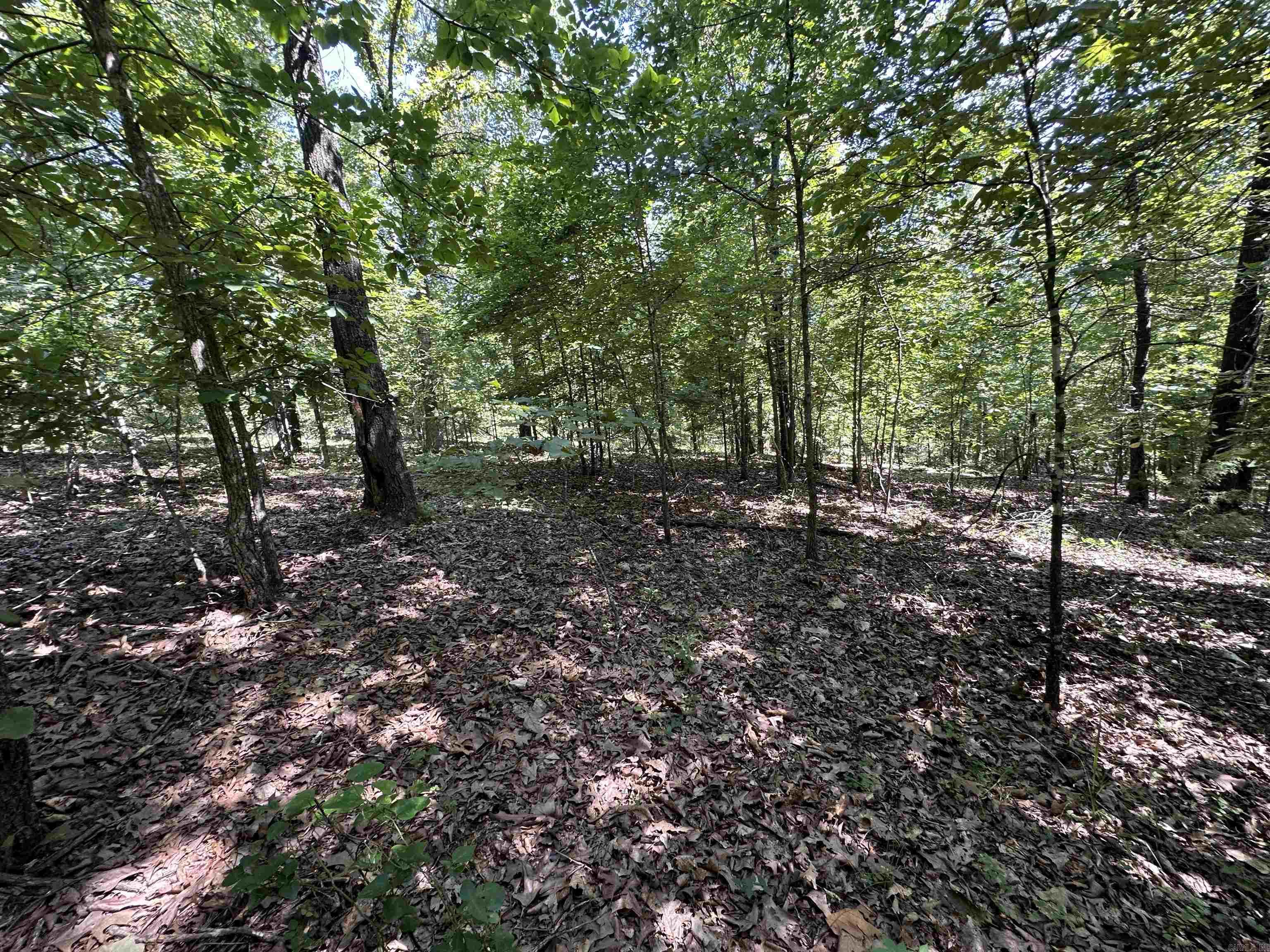  Big Creek Rd  Hardy, AR