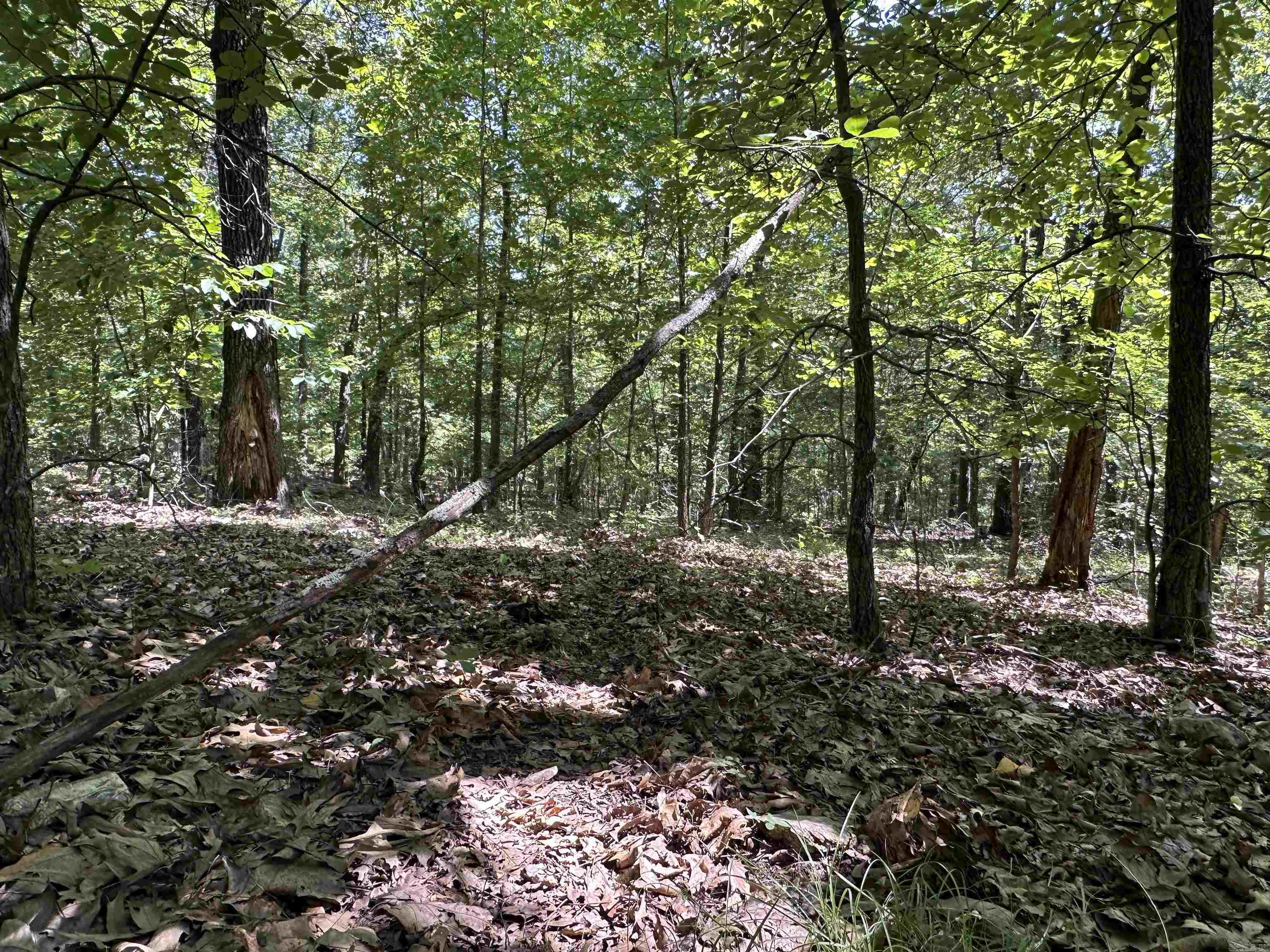  Big Creek Rd  Hardy, AR