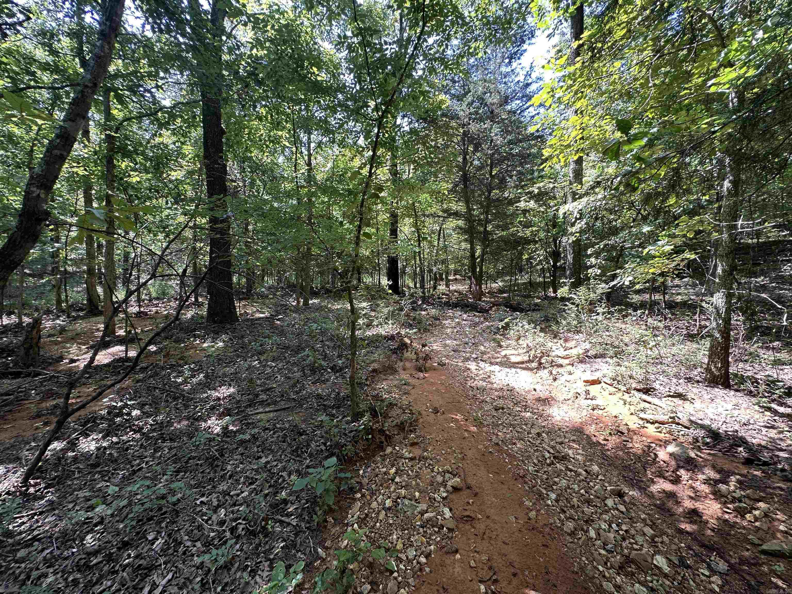 Big Creek Rd  Hardy, AR