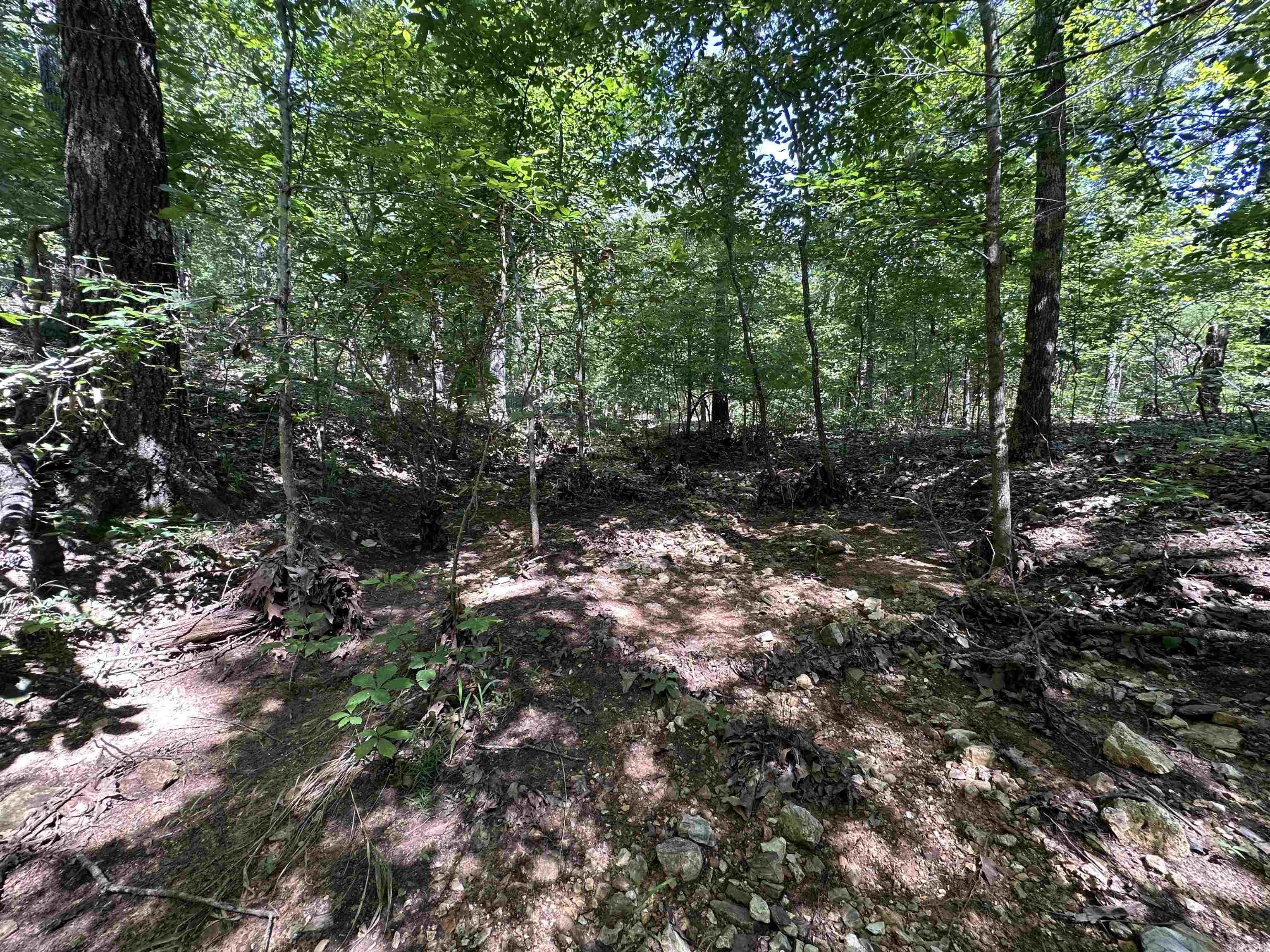  Big Creek Rd  Hardy, AR