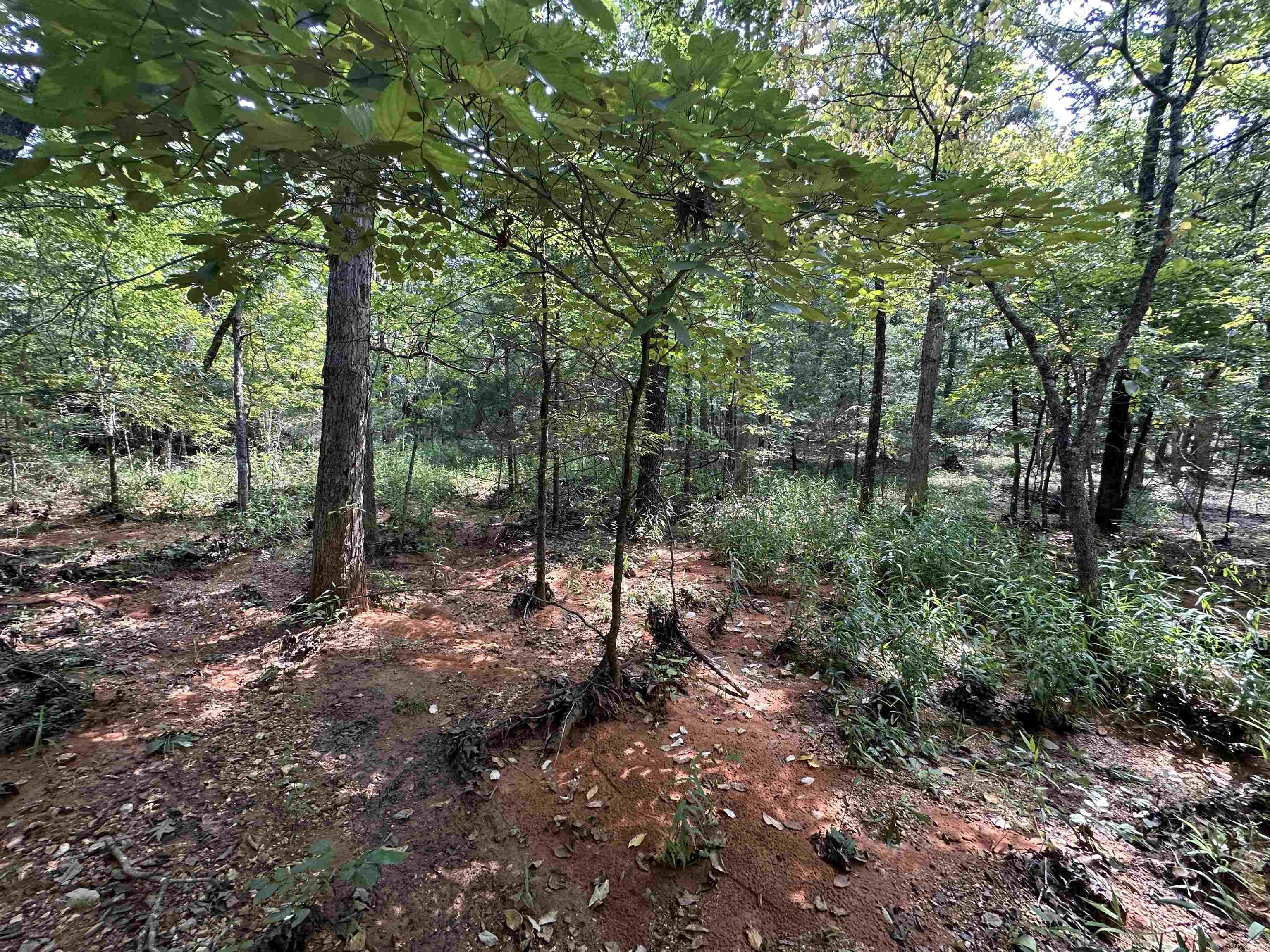  Big Creek Rd  Hardy, AR