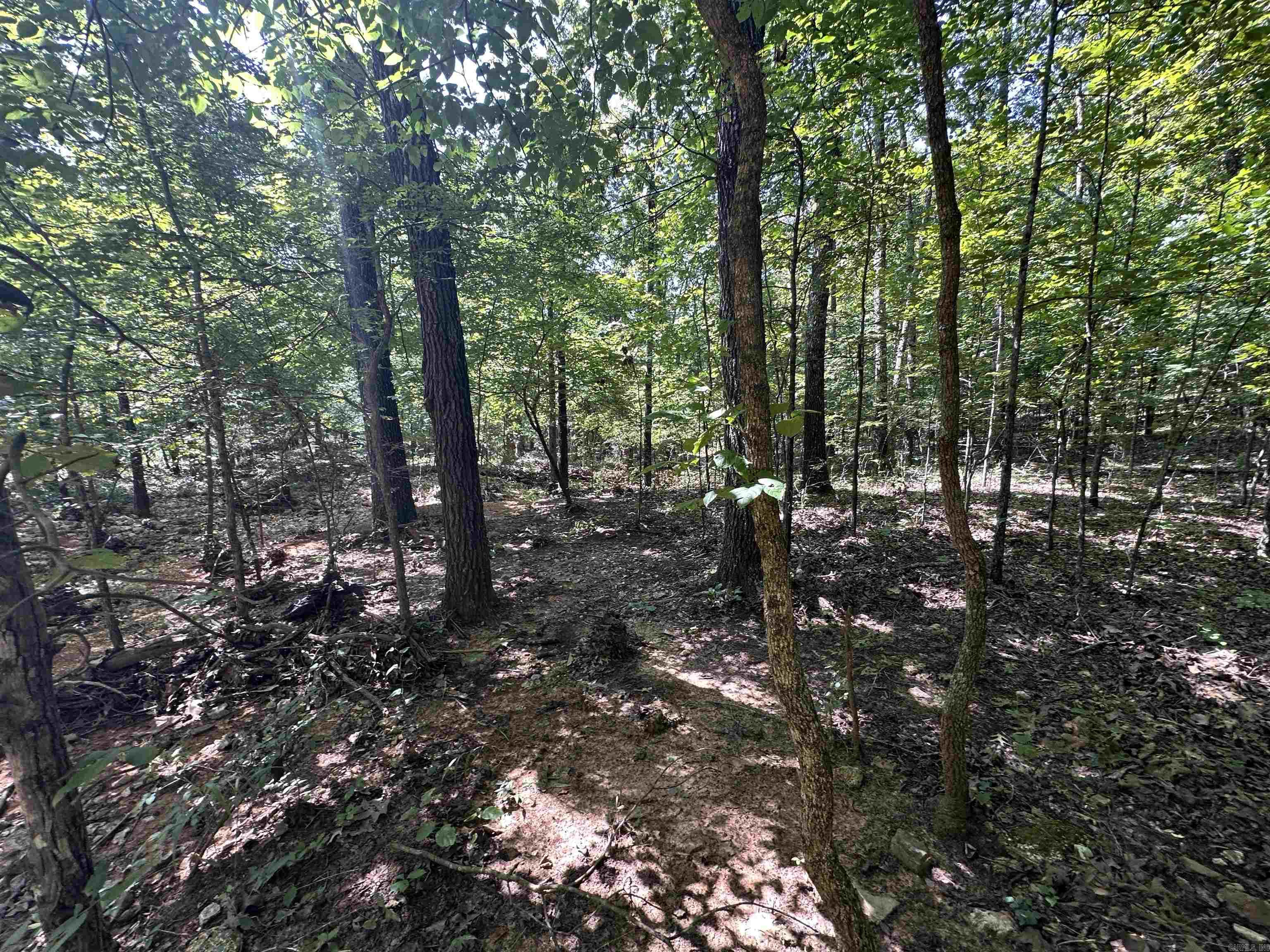  Big Creek Rd  Hardy, AR