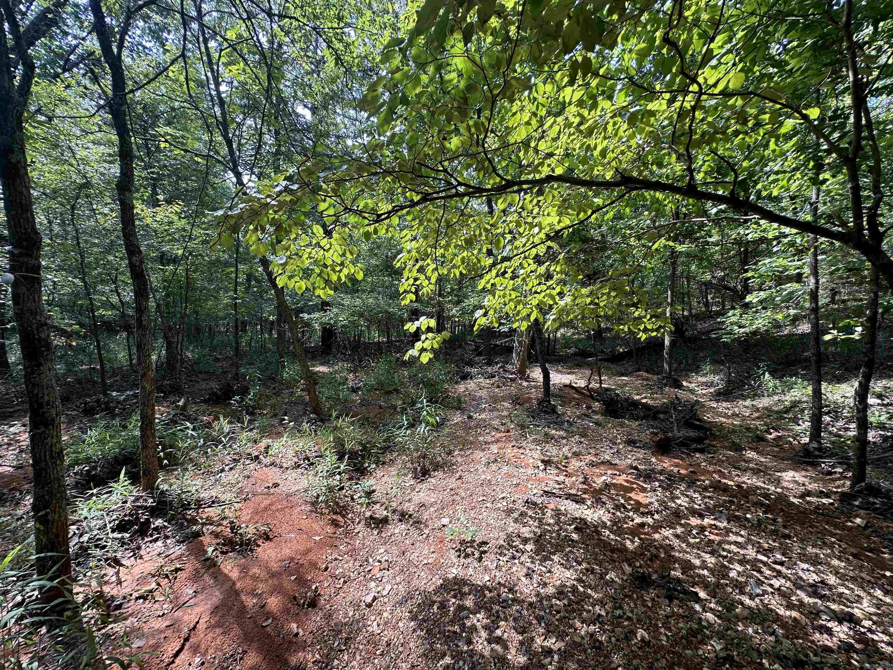  Big Creek Rd  Hardy, AR