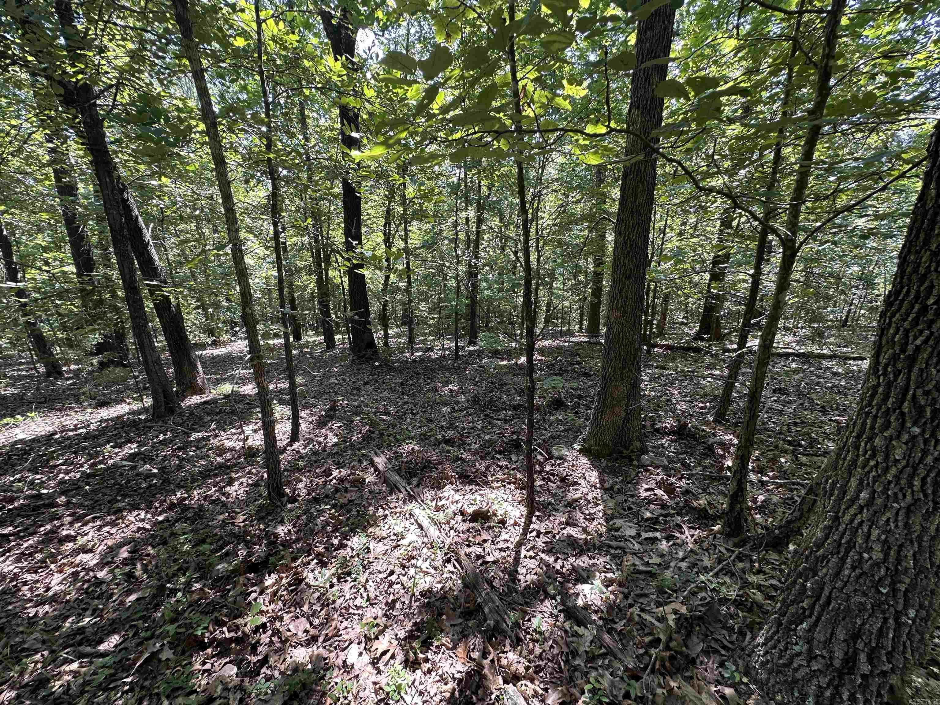  Big Creek Rd  Hardy, AR