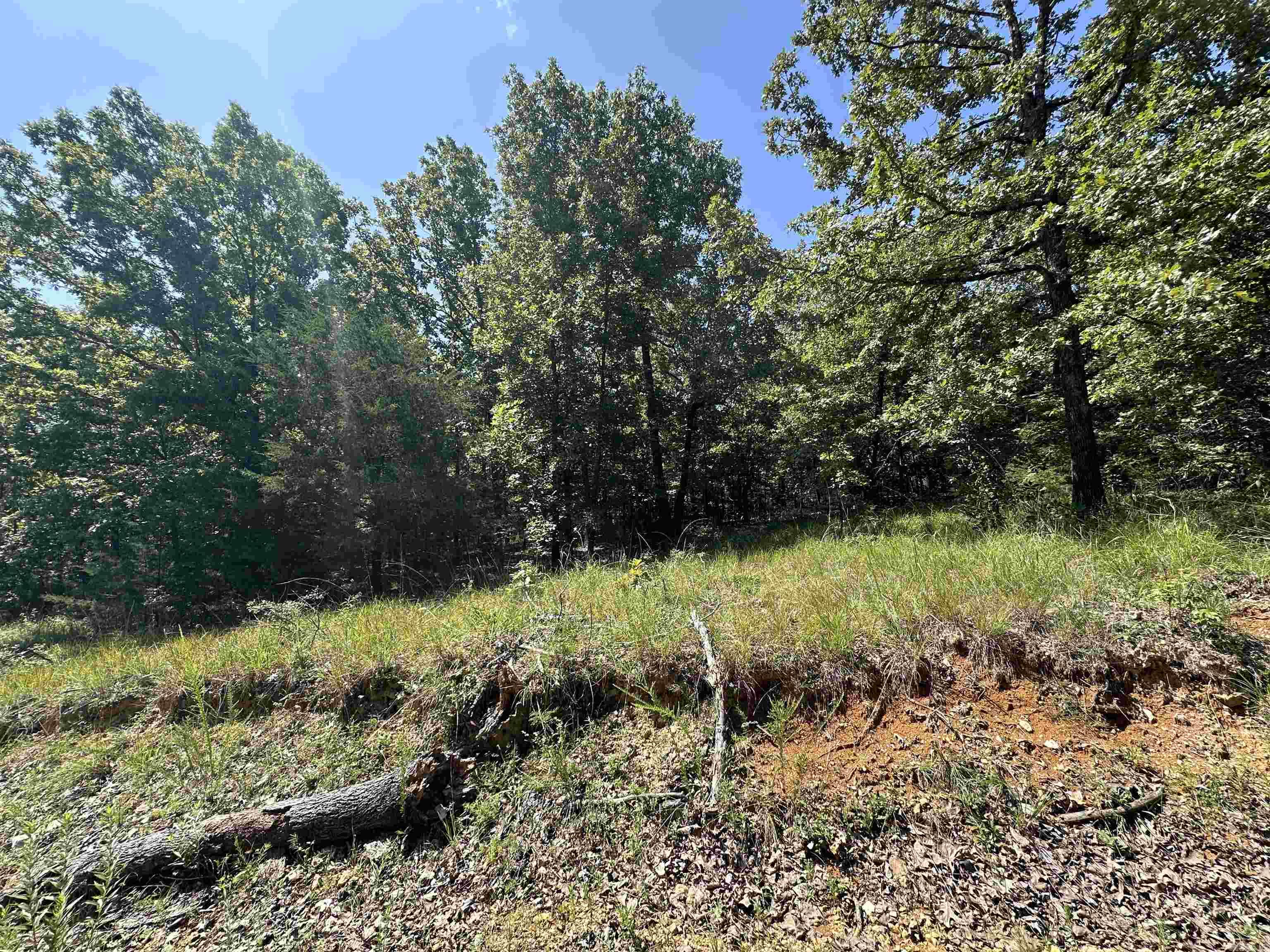  Big Creek Rd  Hardy, AR