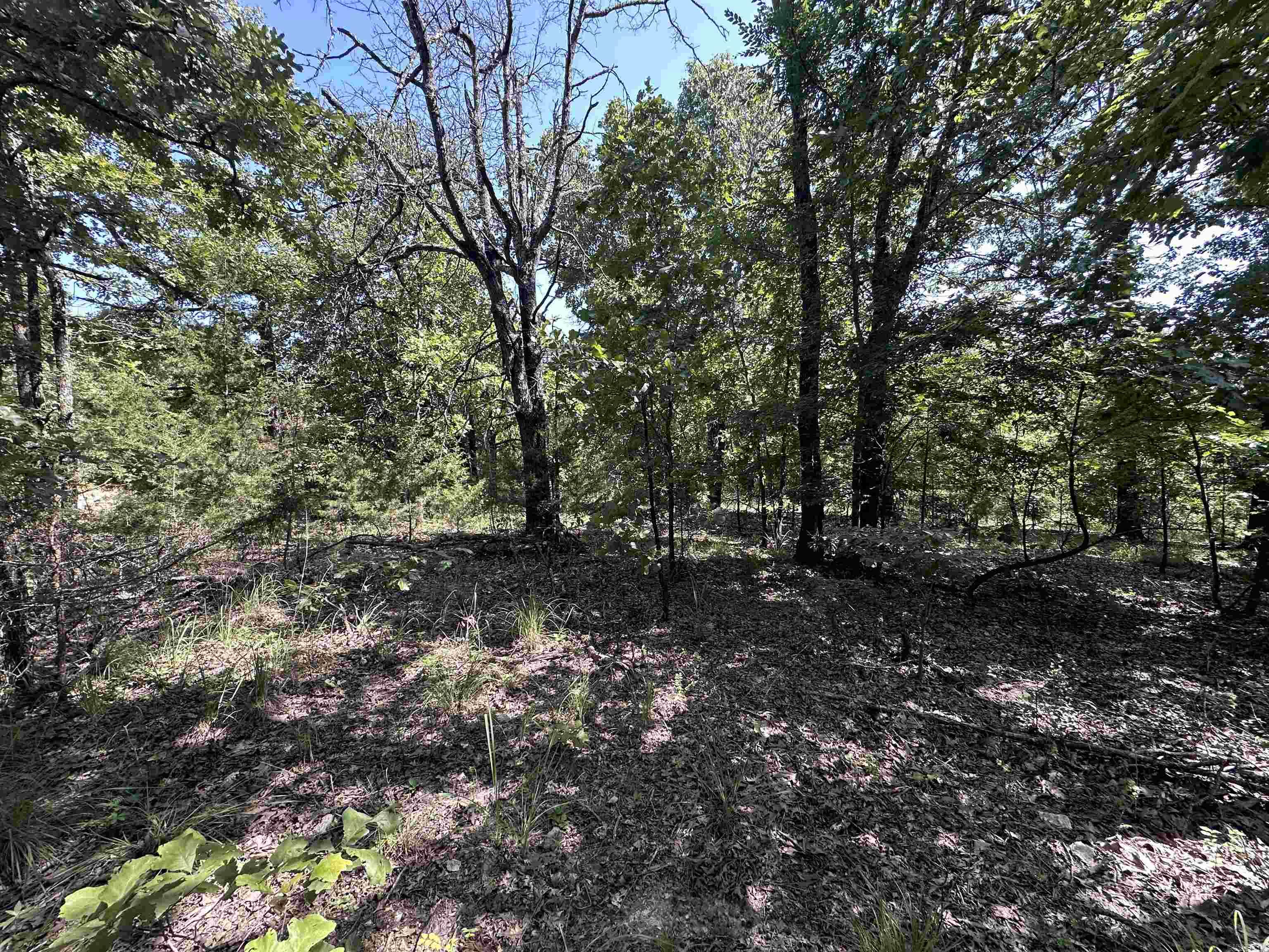  Big Creek Rd  Hardy, AR