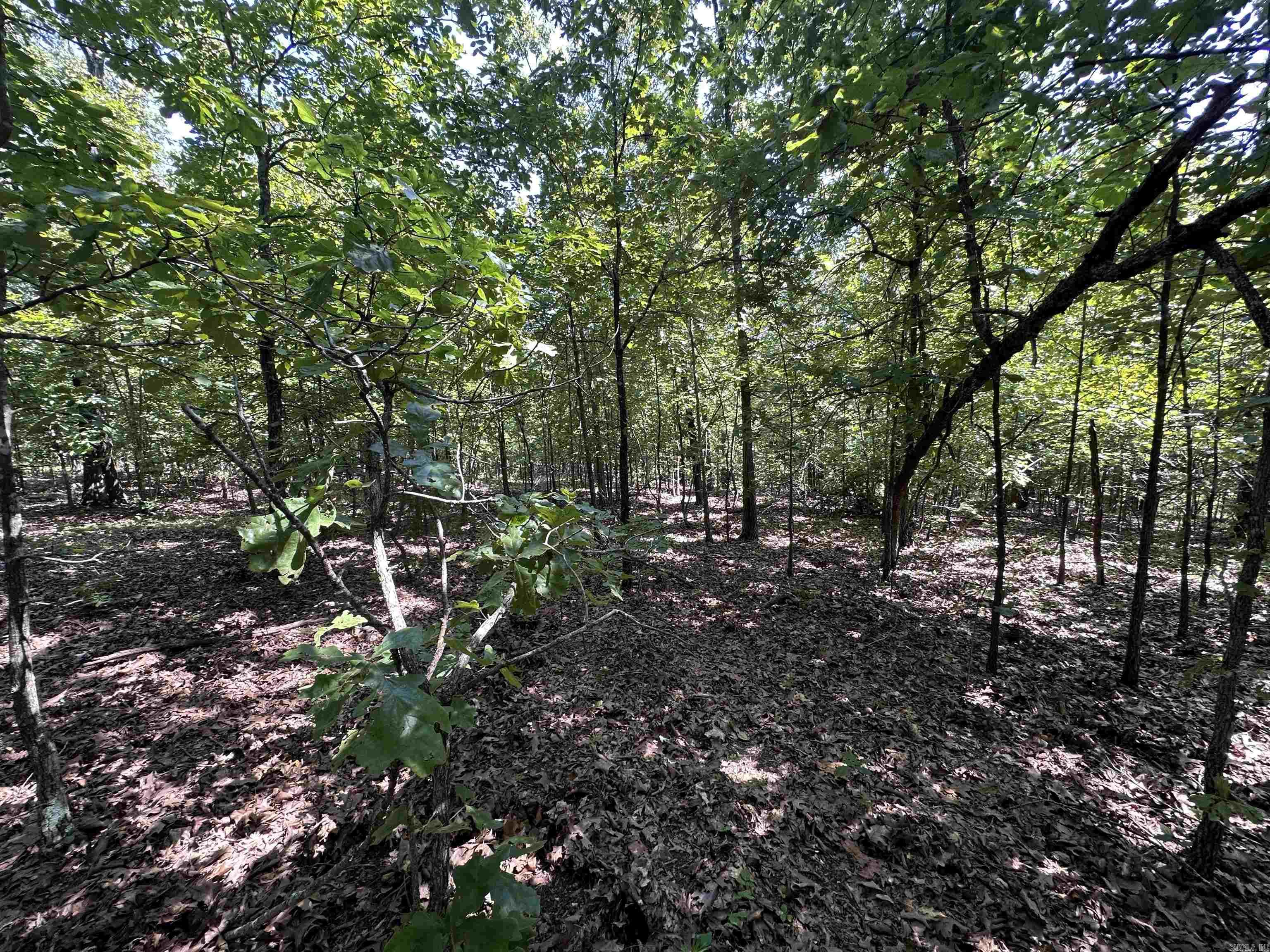  Big Creek Rd  Hardy, AR