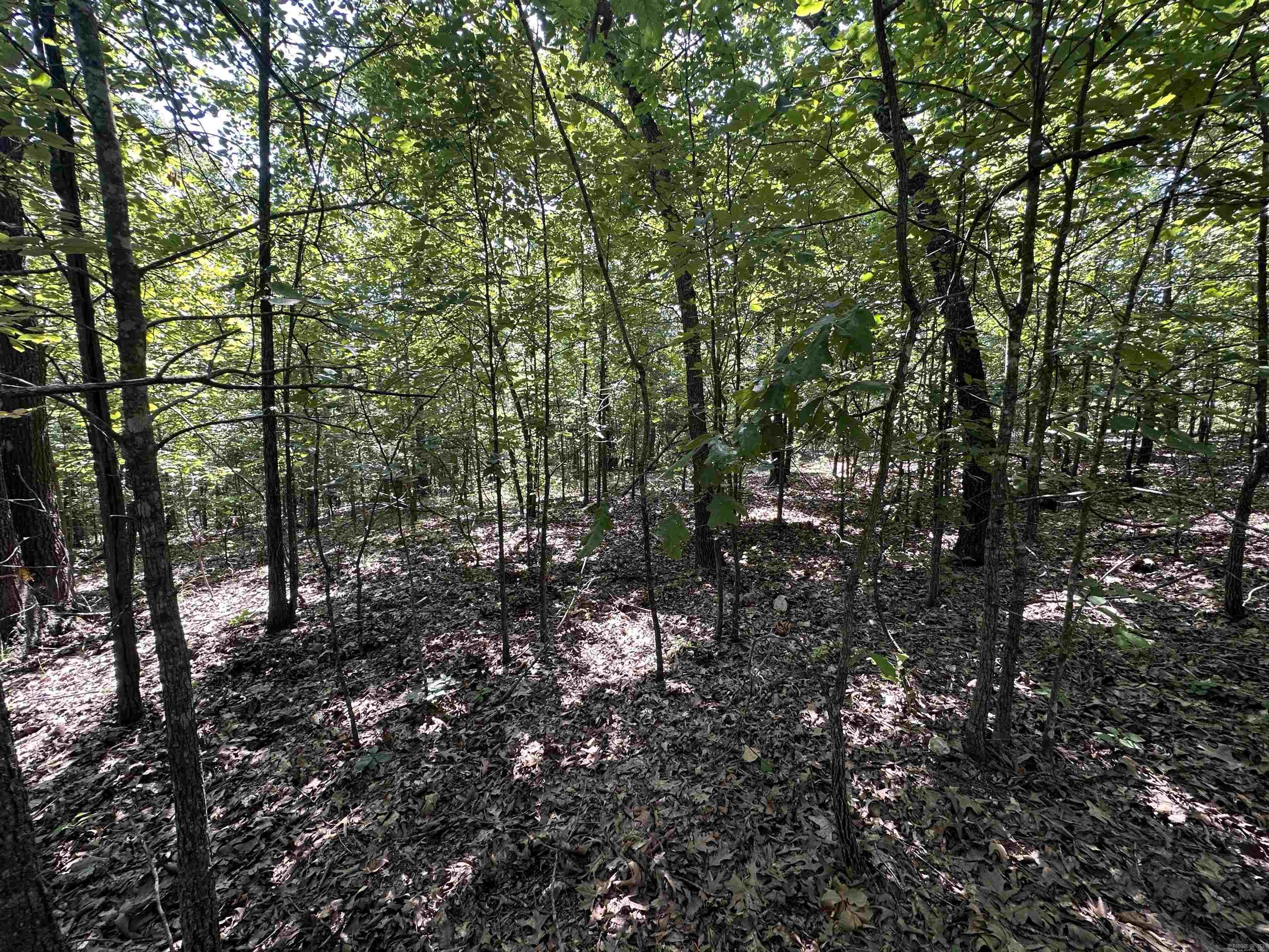  Big Creek Rd  Hardy, AR