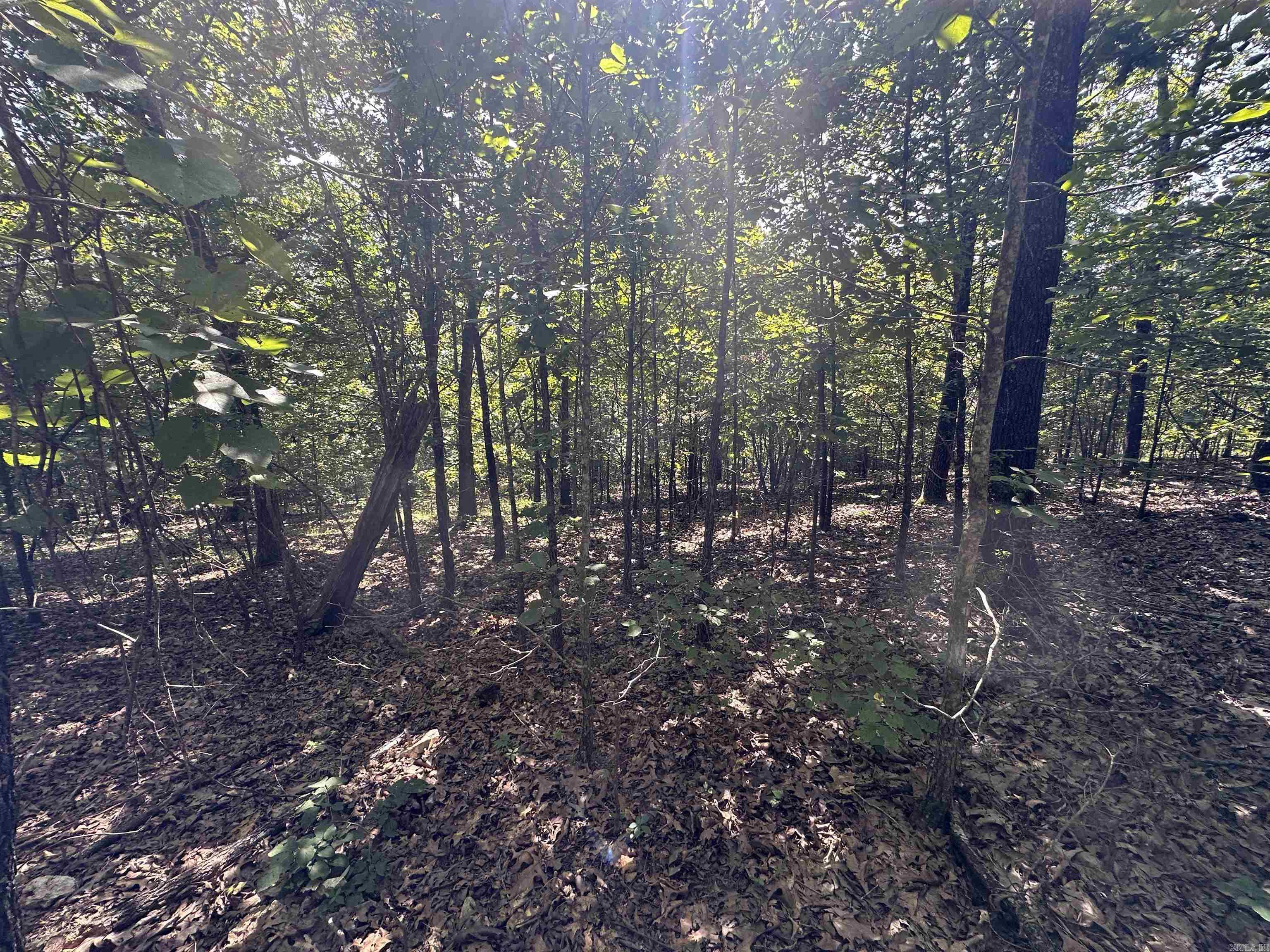  Big Creek Rd  Hardy, AR