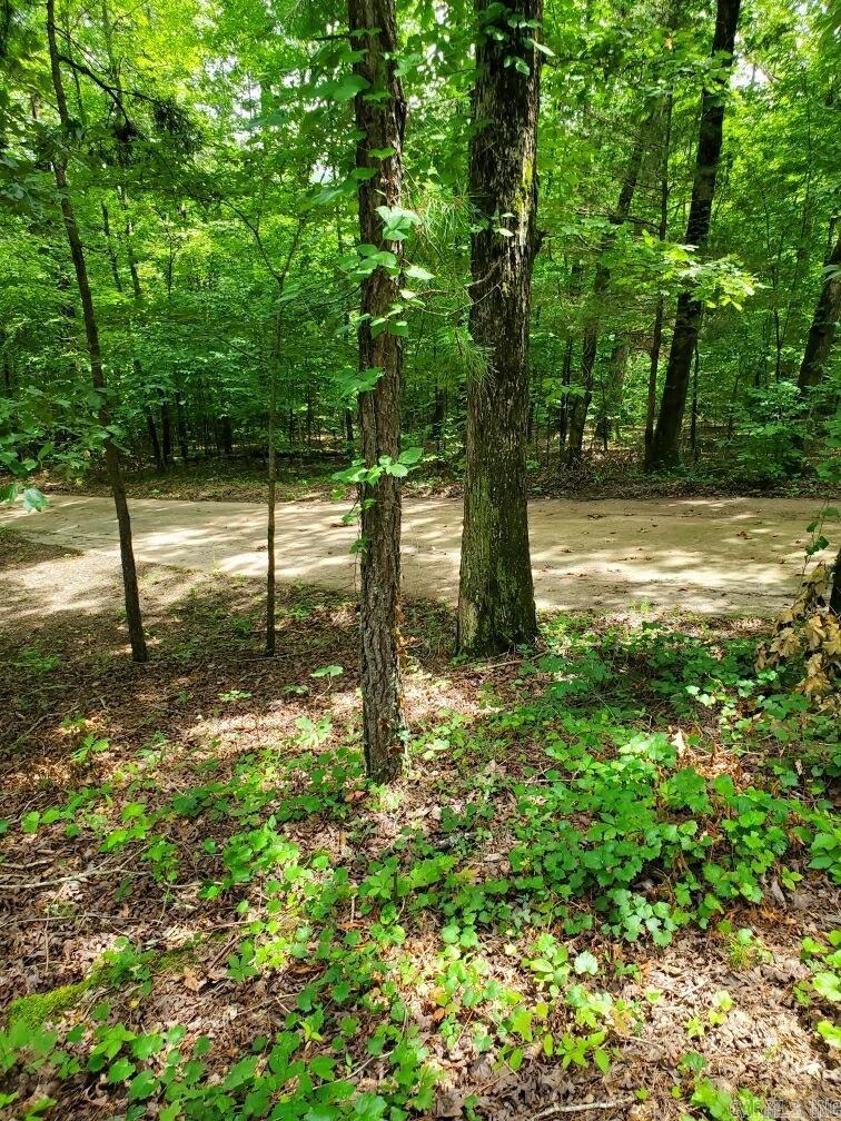5880 HWY 8 E  Big Fork, AR