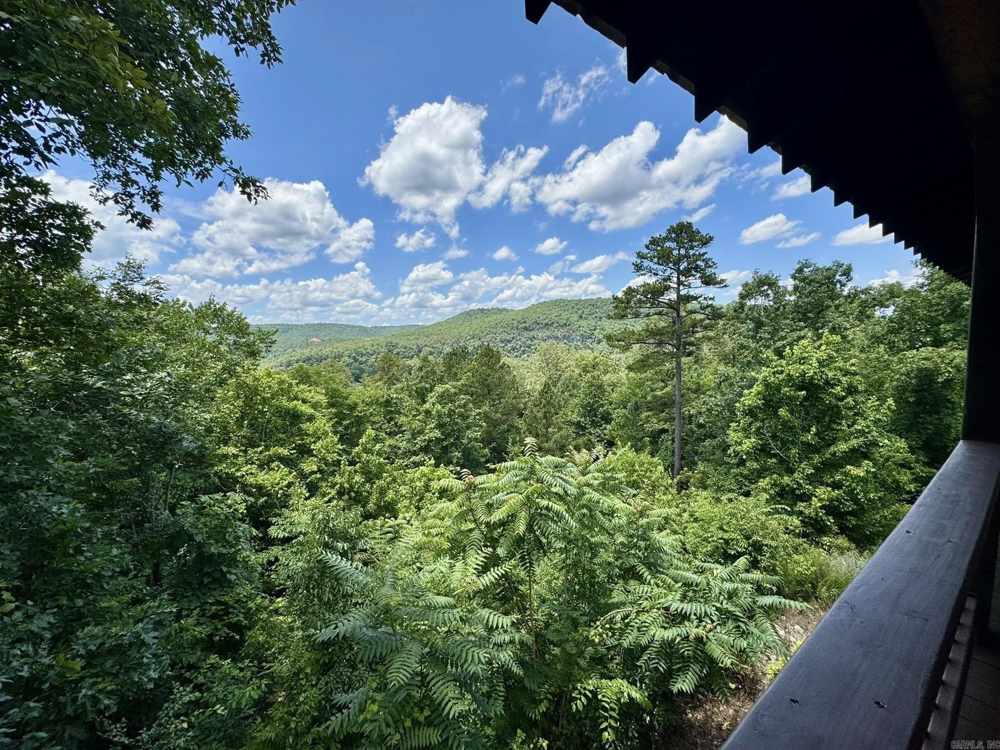 22 Sylamore Vista  Mountain View, AR