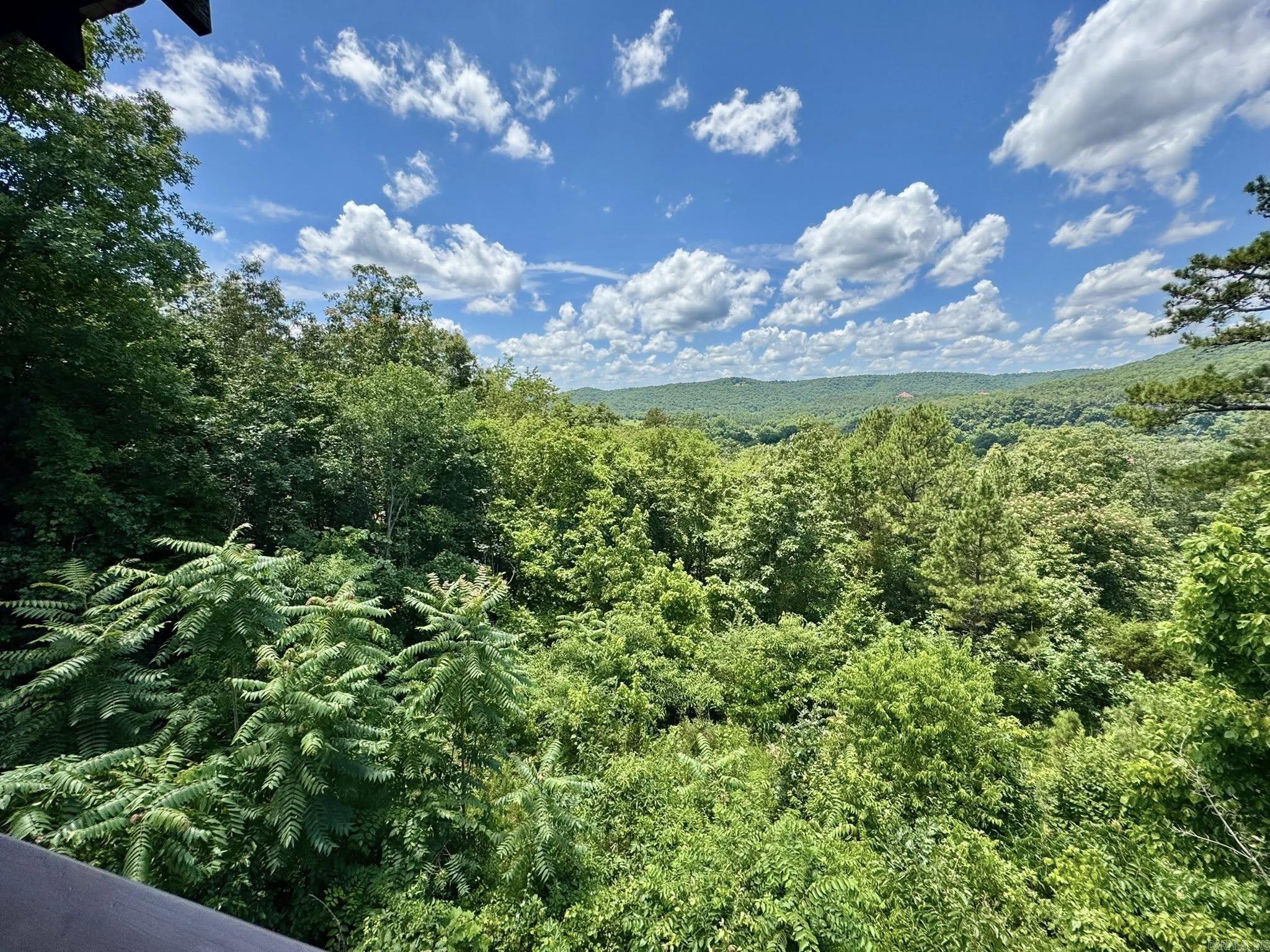 22 Sylamore Vista  Mountain View, AR