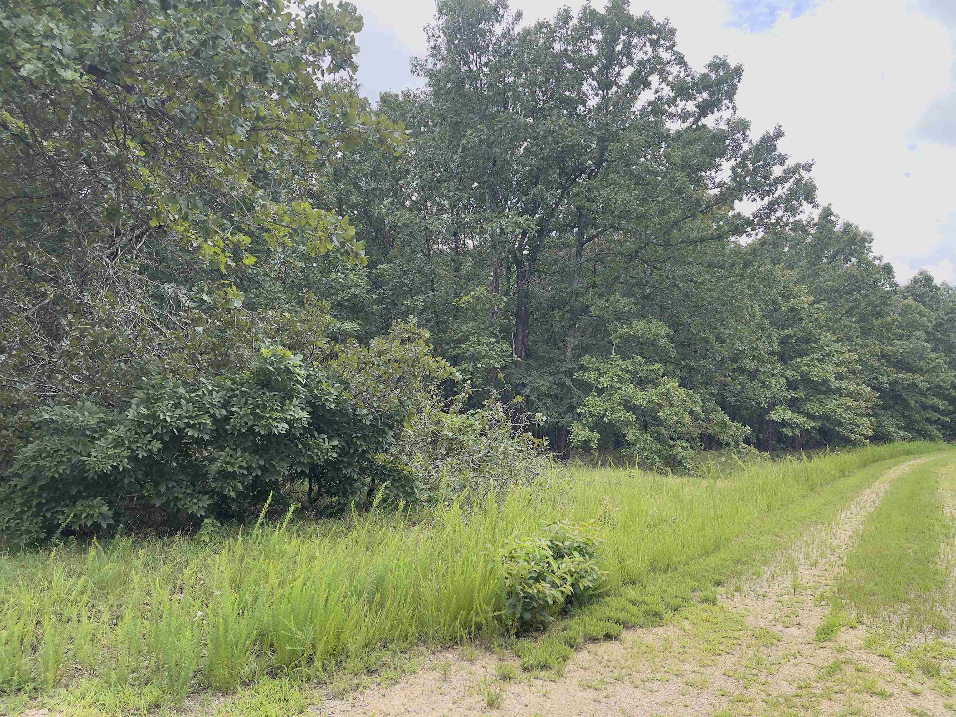 TBD Turkey Springs Ranch Ln  Highland, AR
