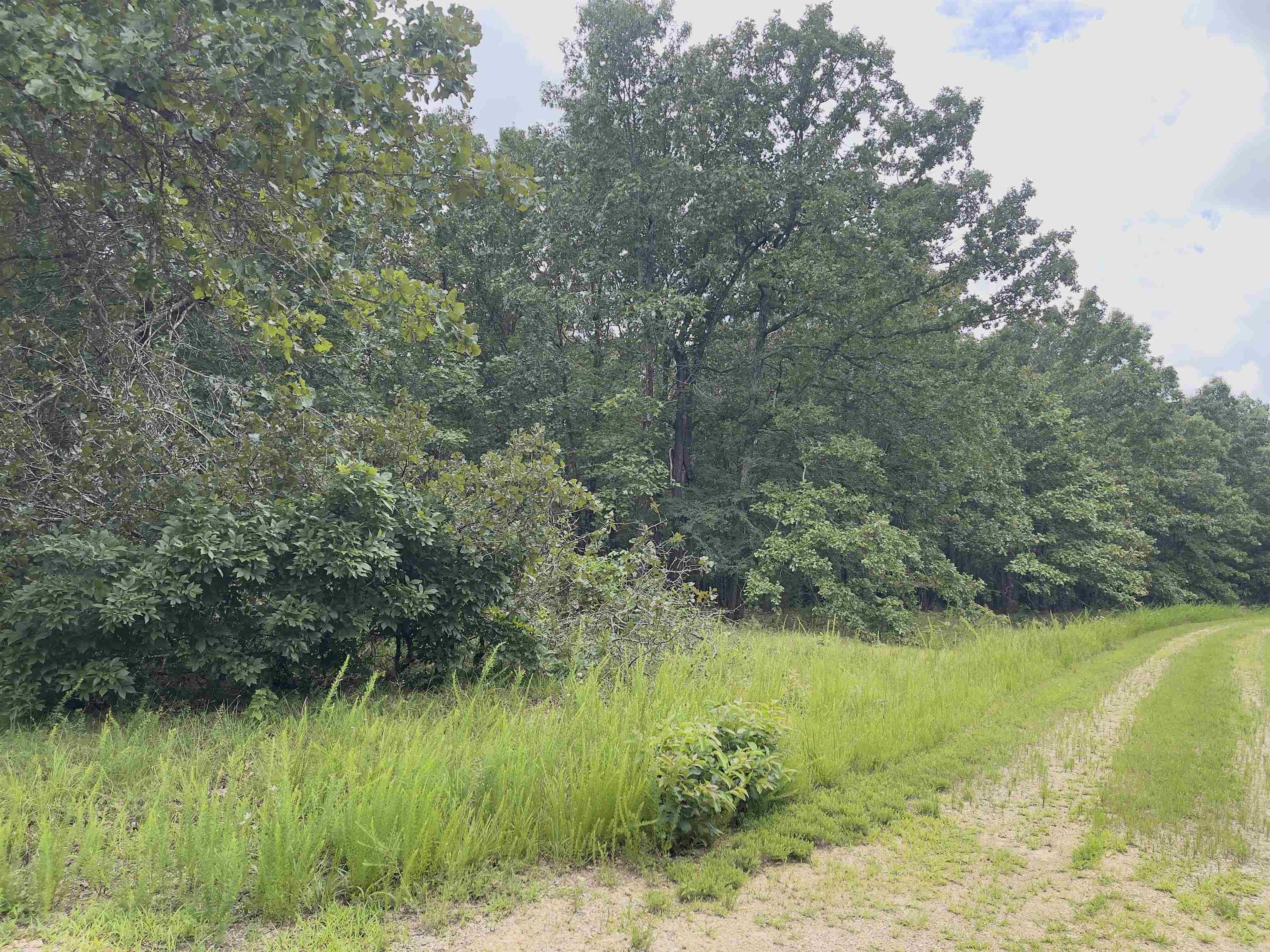 TBD Turkey Springs Ranch Ln  Highland, AR