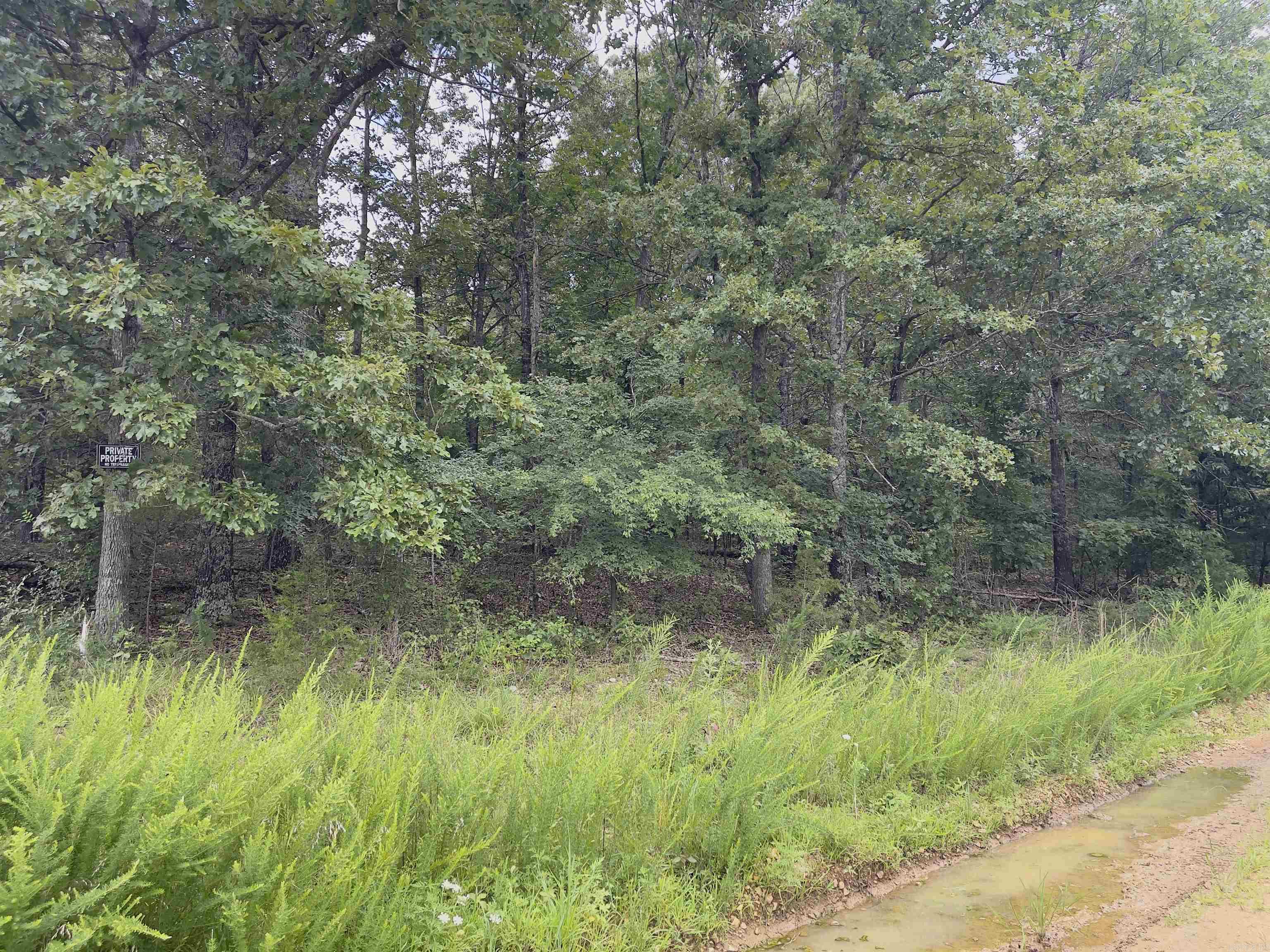 TBD Turkey Springs Ranch Ln  Highland, AR
