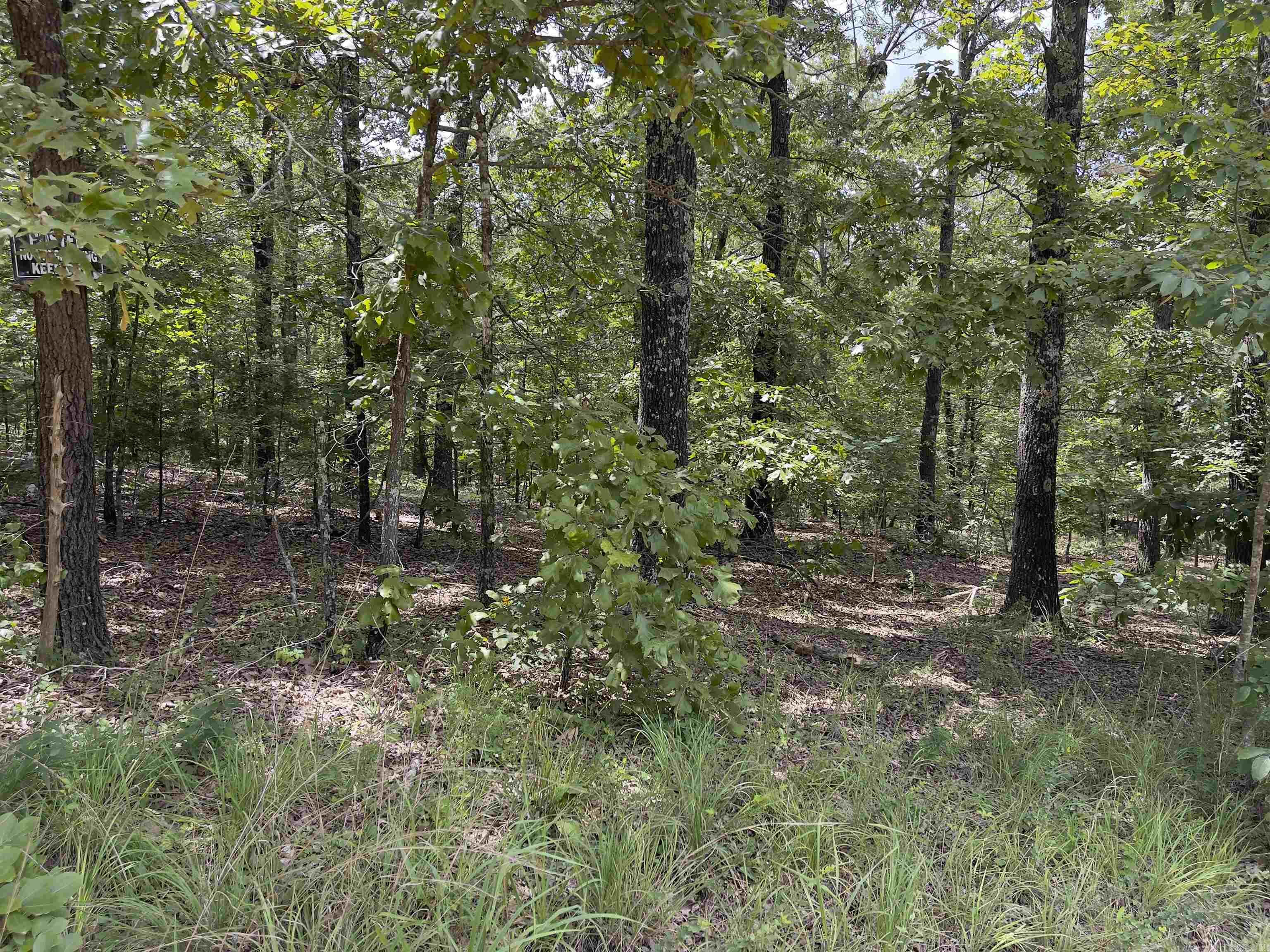 TBD Turkey Springs Ranch Ln  Highland, AR