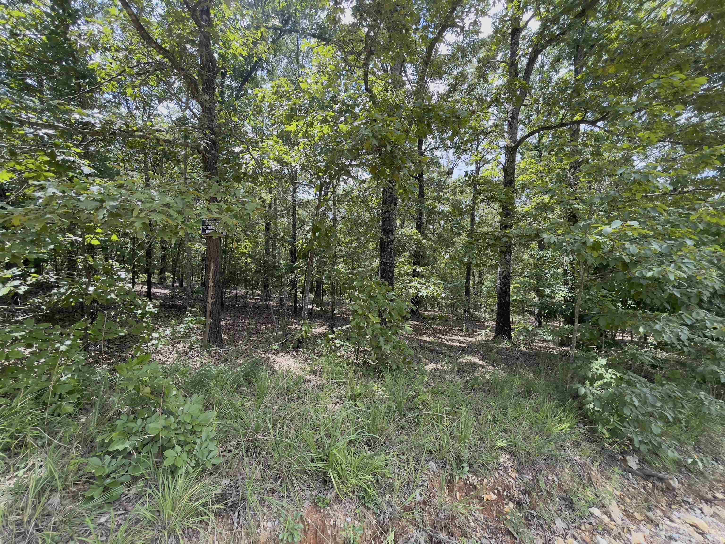 TBD Turkey Springs Ranch Ln  Highland, AR