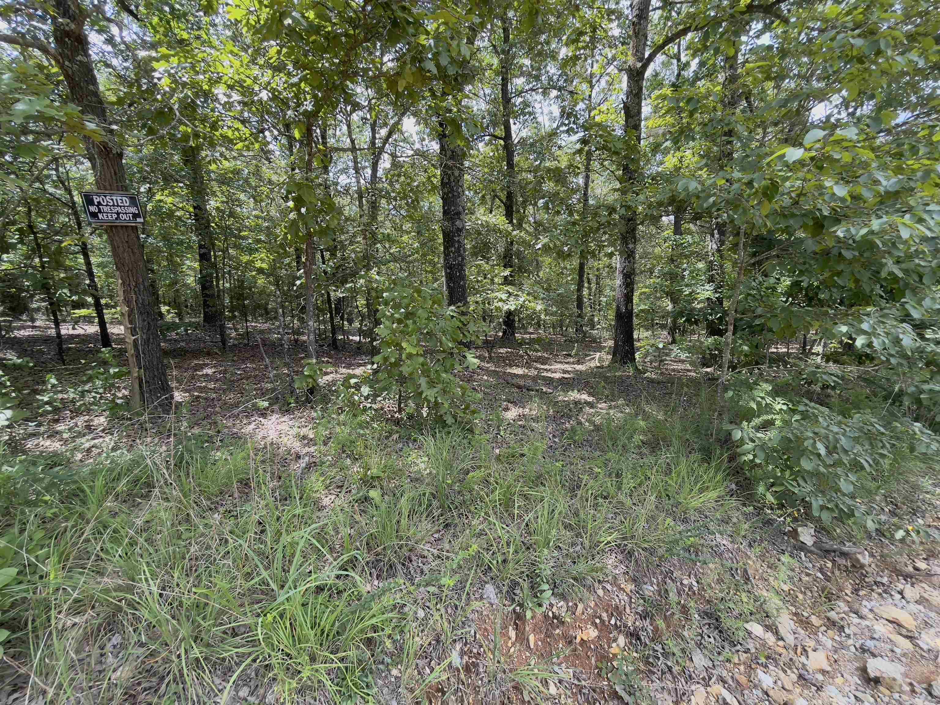 TBD Turkey Springs Ranch Ln  Highland, AR