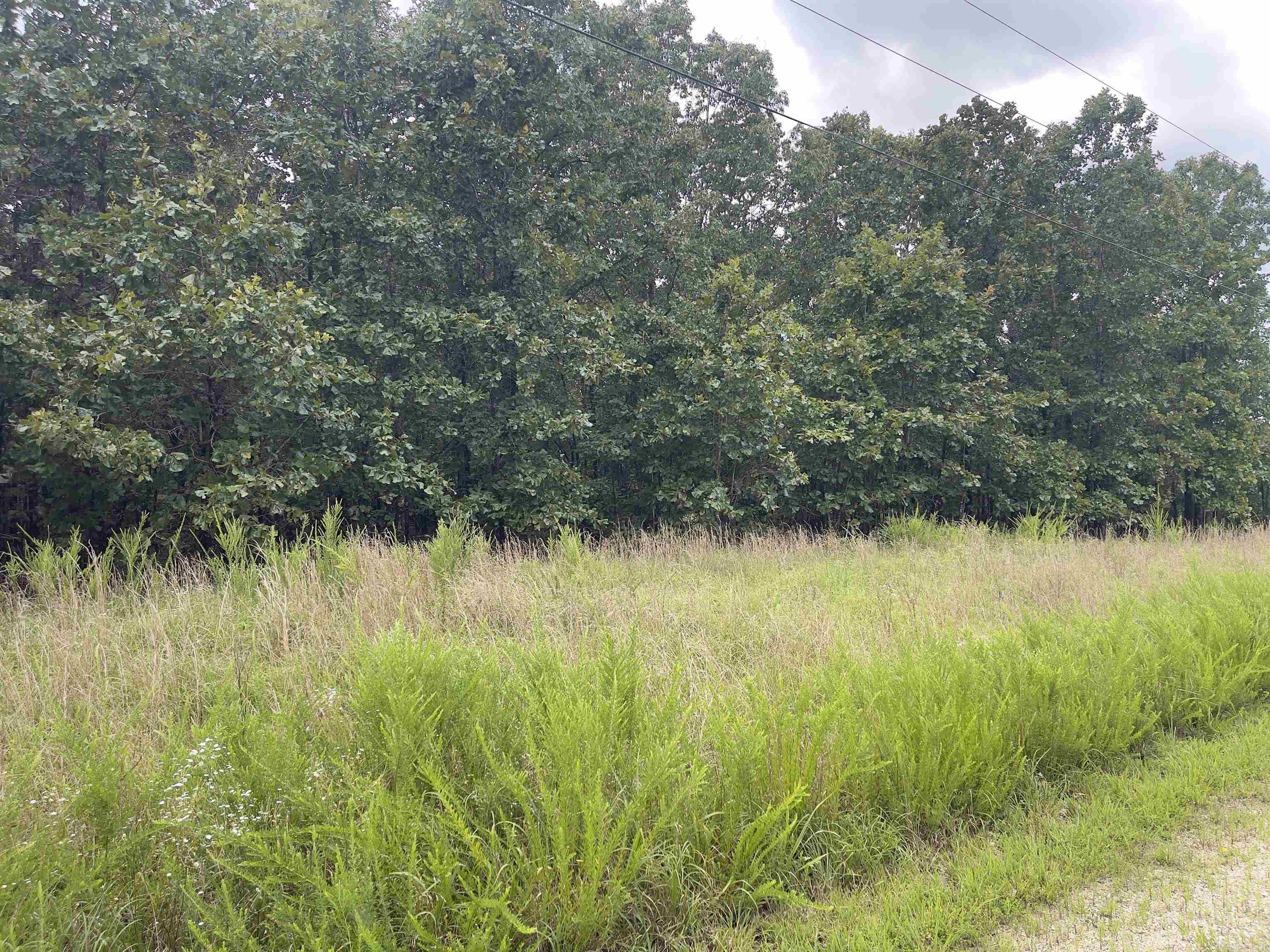 TBD Turkey Springs Ranch Ln  Highland, AR