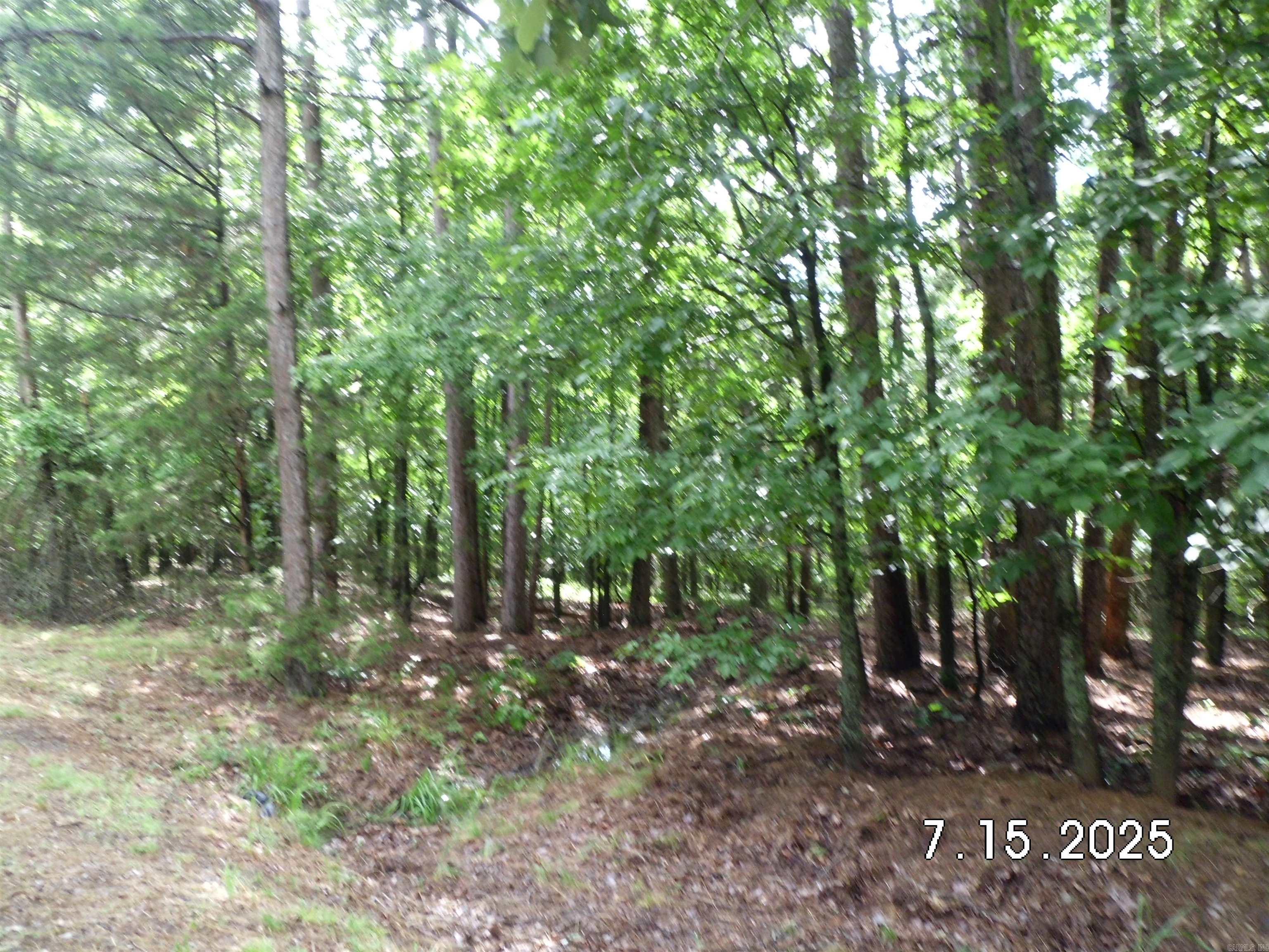 Lots 44 & 45 Lakeview  Heber Springs, AR