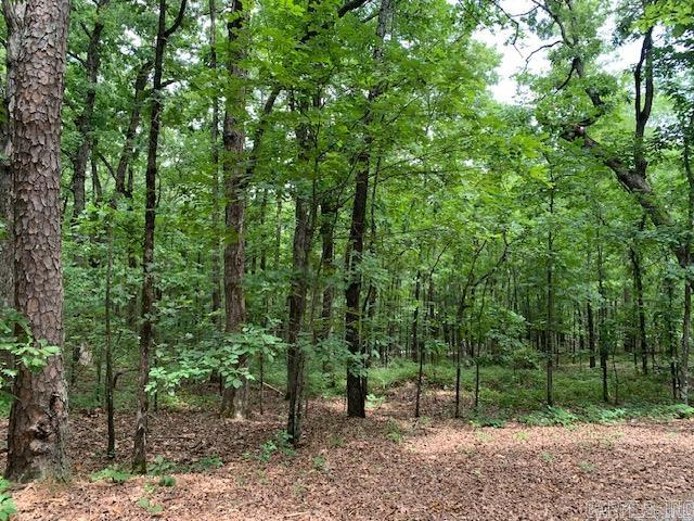 Lots 44 & 45 Lakeview  Heber Springs, AR