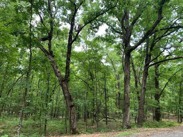 Lots 44 & 45 Lakeview  Heber Springs, AR