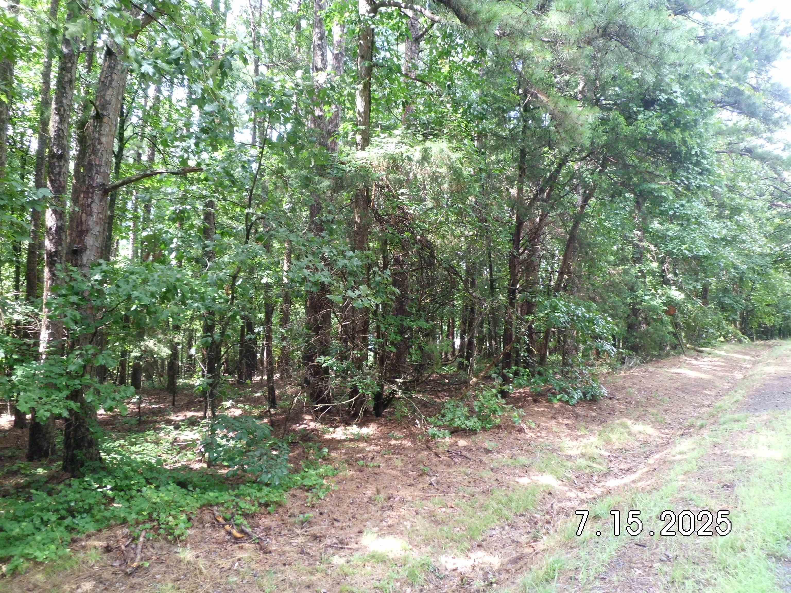 Lots 44 & 45 Lakeview  Heber Springs, AR